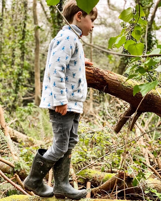 Shiloh taking a little stroll out in the woods with his @welovefrugi organic-made fleece zip up sweater! It&rsquo;s the perfect piece for walks in the woods or to keep you cosy on a day at the beach. 💙 #welovefrugi