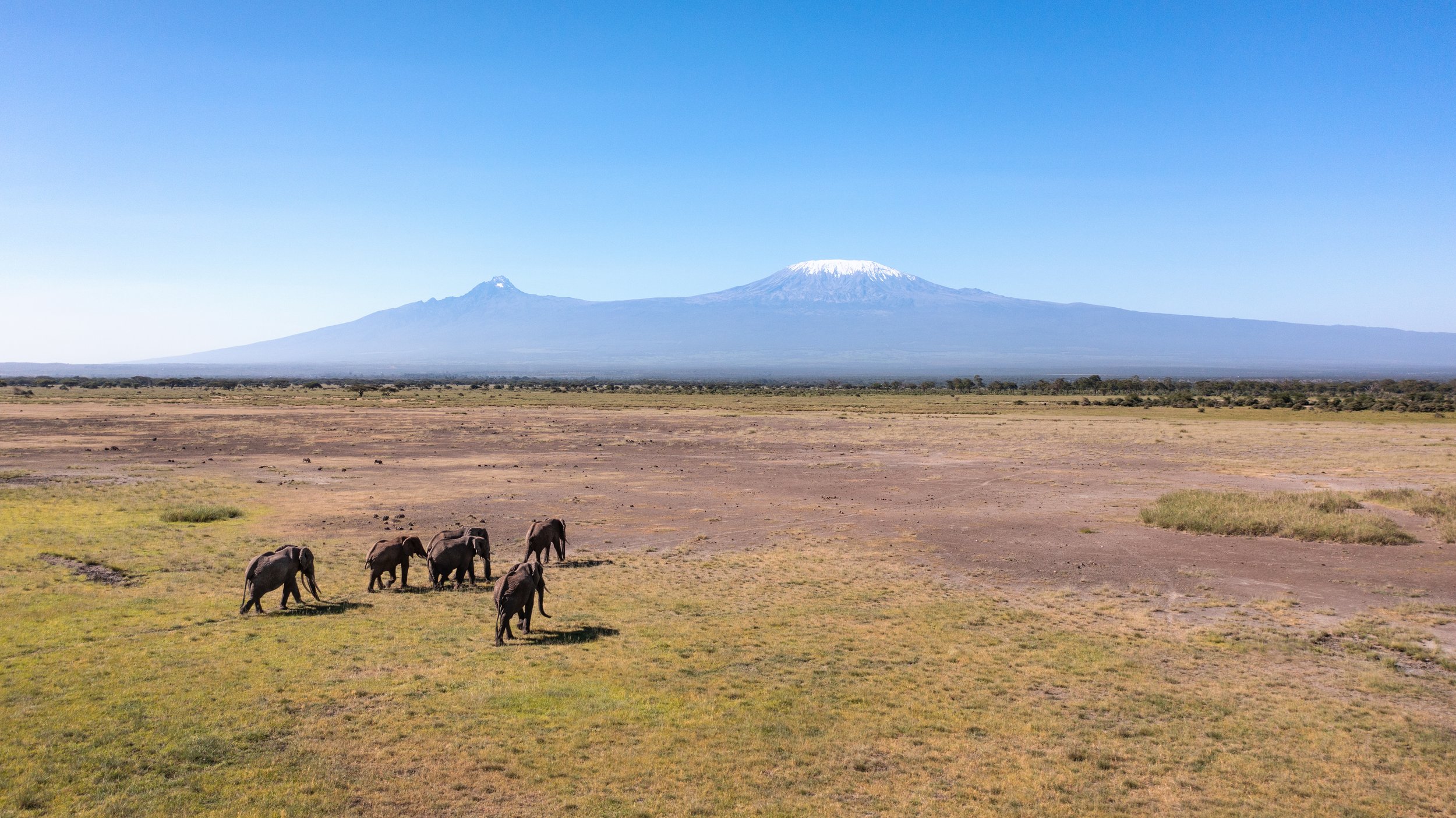 Angama Amboseli - Amboseli National Park.jpeg