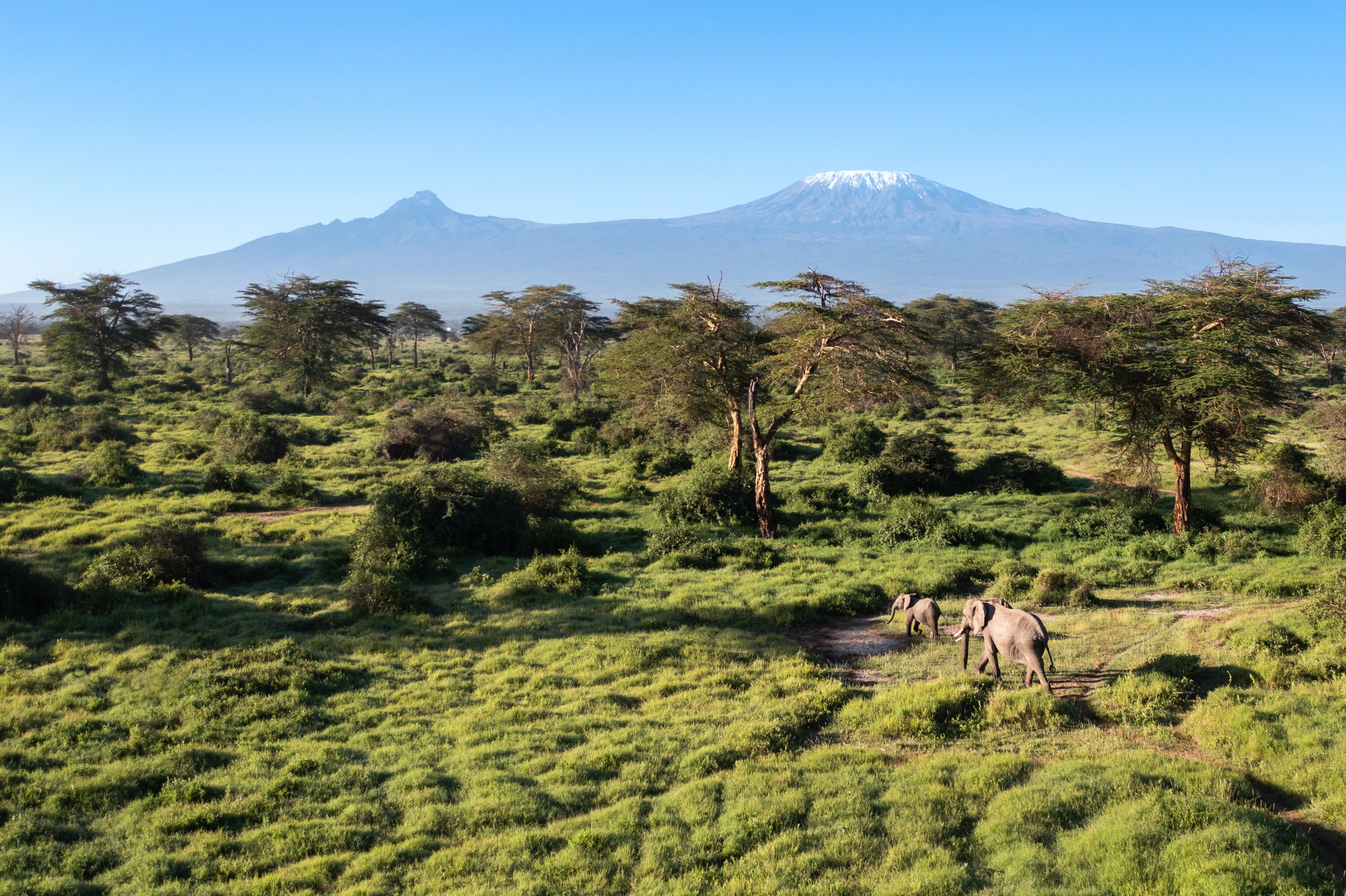 Angama Amboseli - Kimana Sanctuary - Mount Kilimanjaro.jpeg