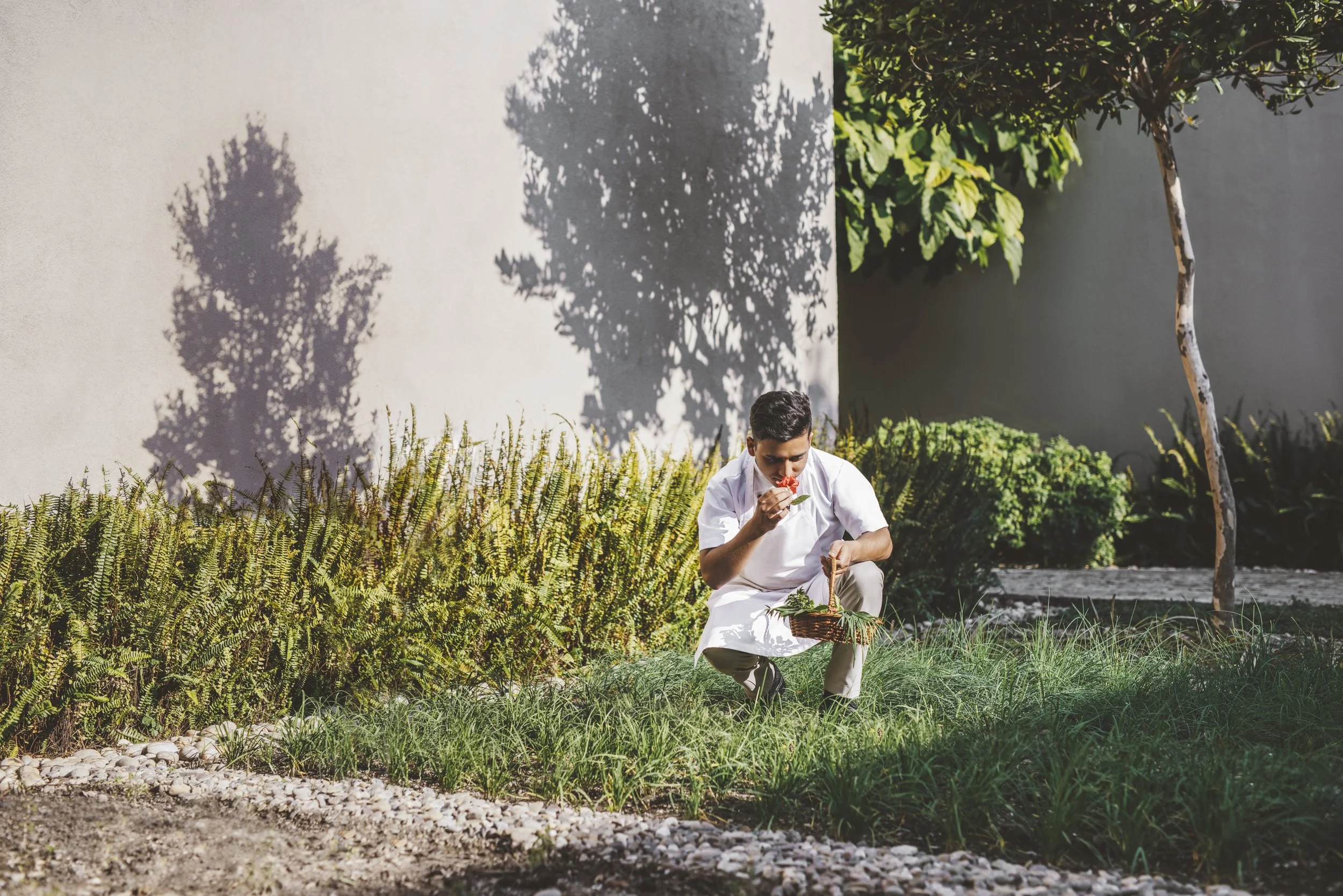 Spaces_Herb_Garden_[10014-ORIGINAL].jpg