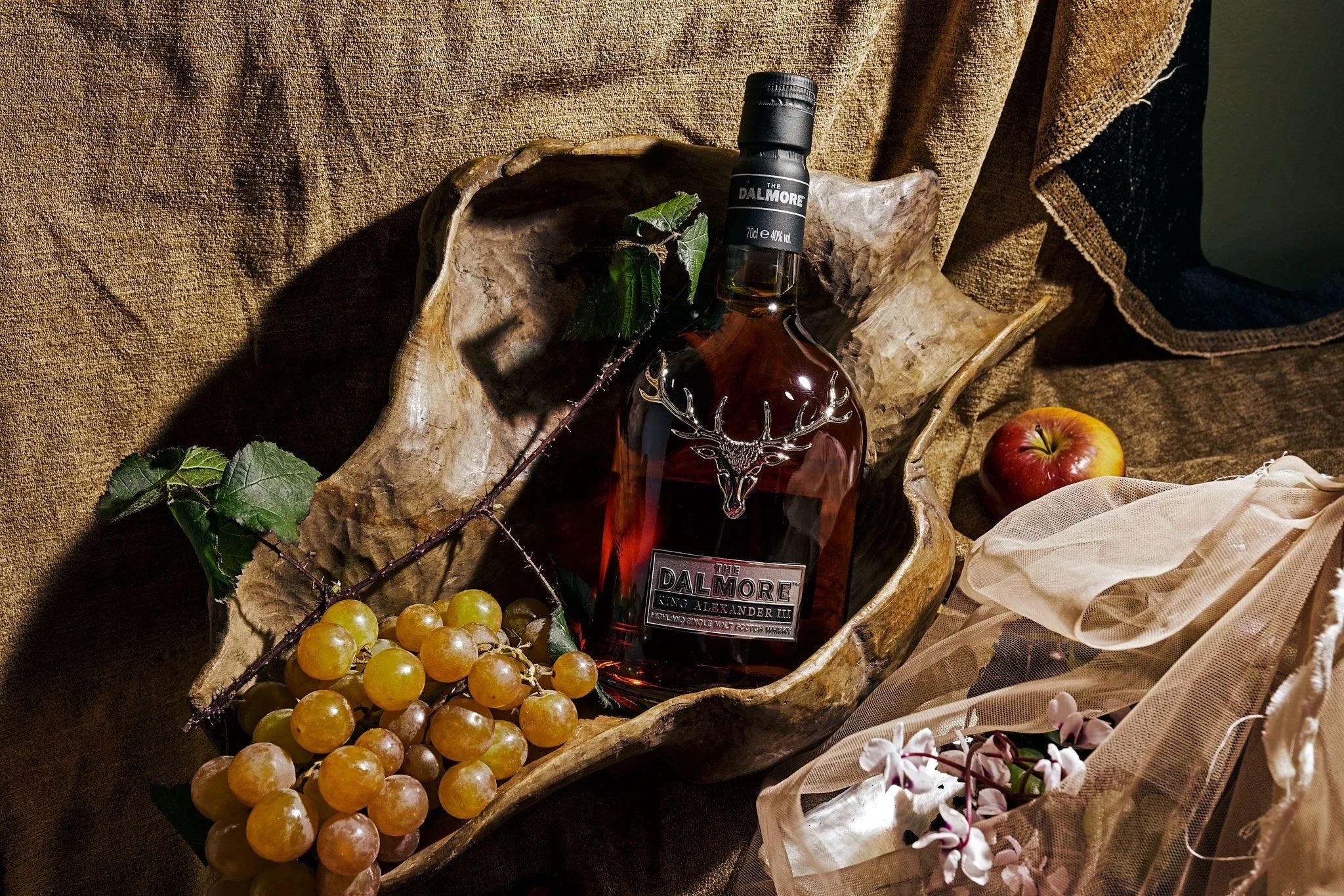 WhatsApp Image 2026-02-10 at 11.21.56.jpeg