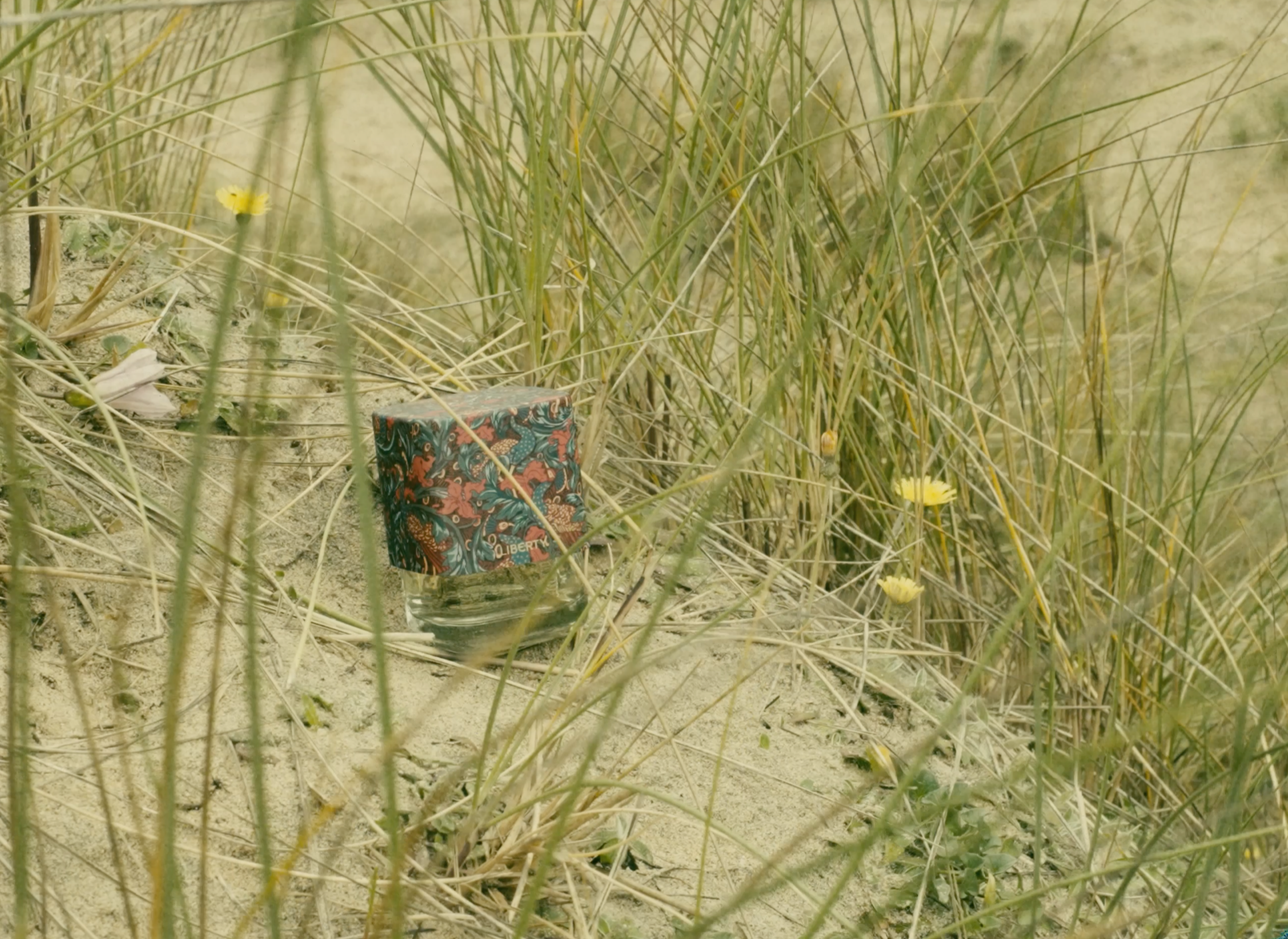 The Summer Fragrances For Those Who Prefer Something Different