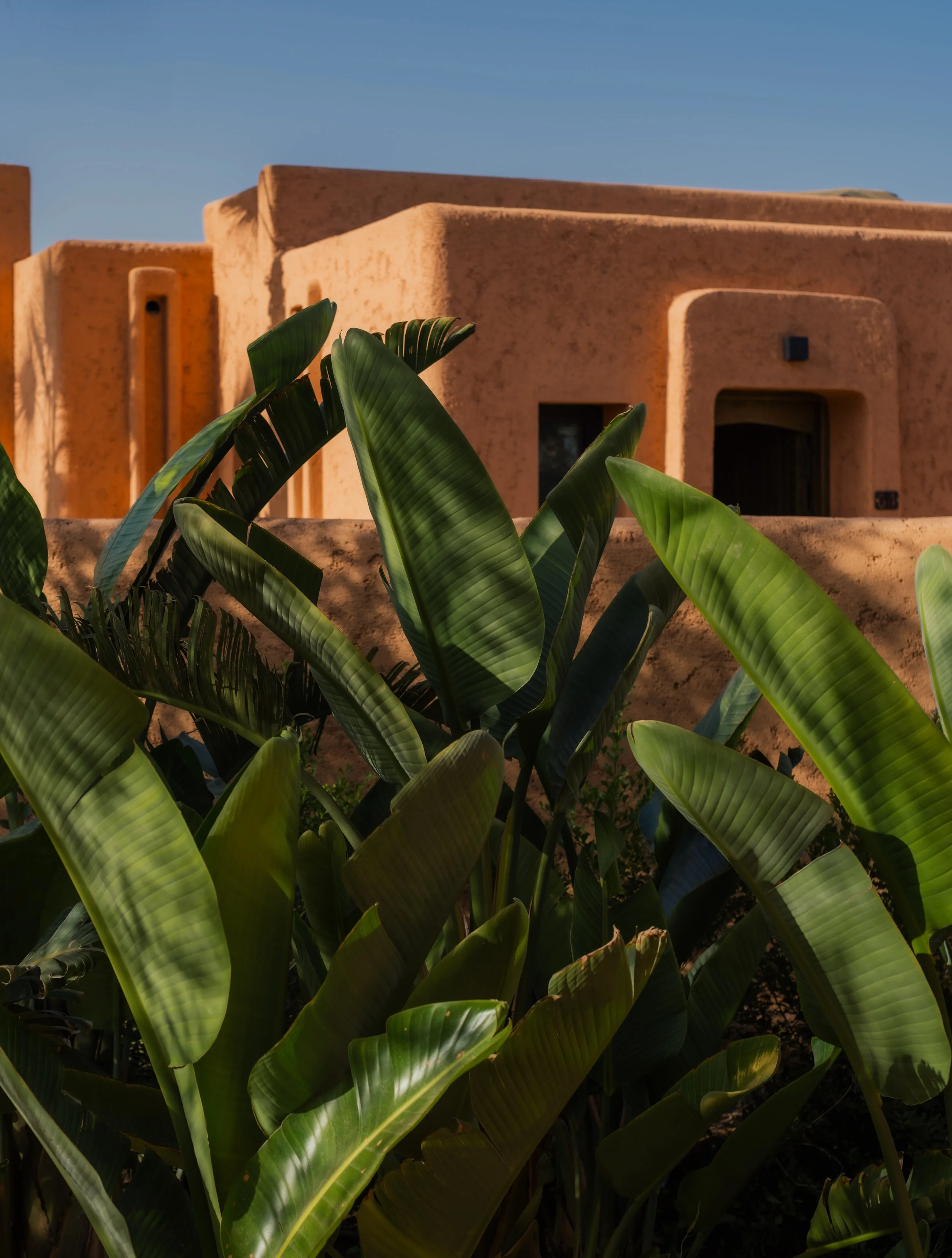 oasis-lodge-final-03.jpg