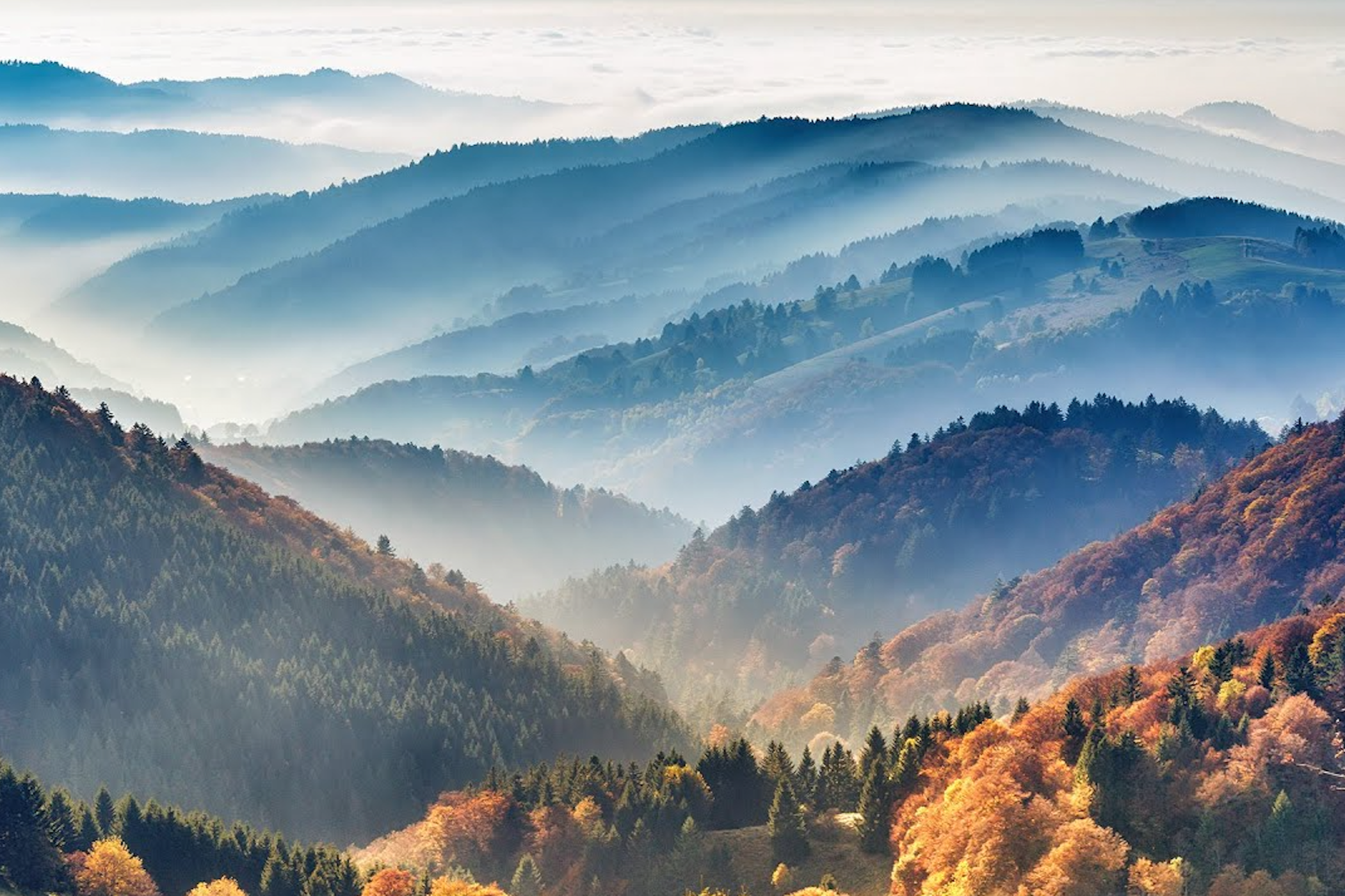 Why Germany's Black Forest Is About To Become Europe's Next Must-Visit Destination