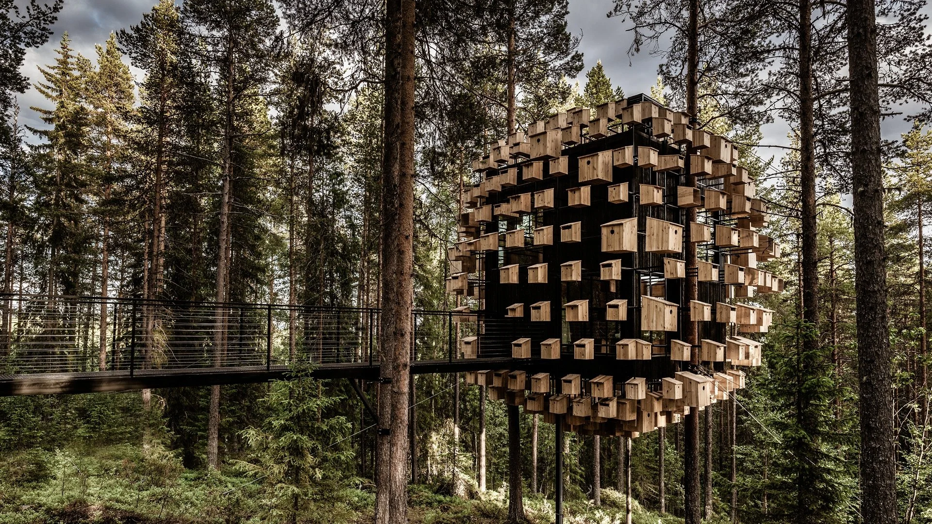 Treehotel bird house treehouse suspended in pine forest in Harads, Swedish Lapland