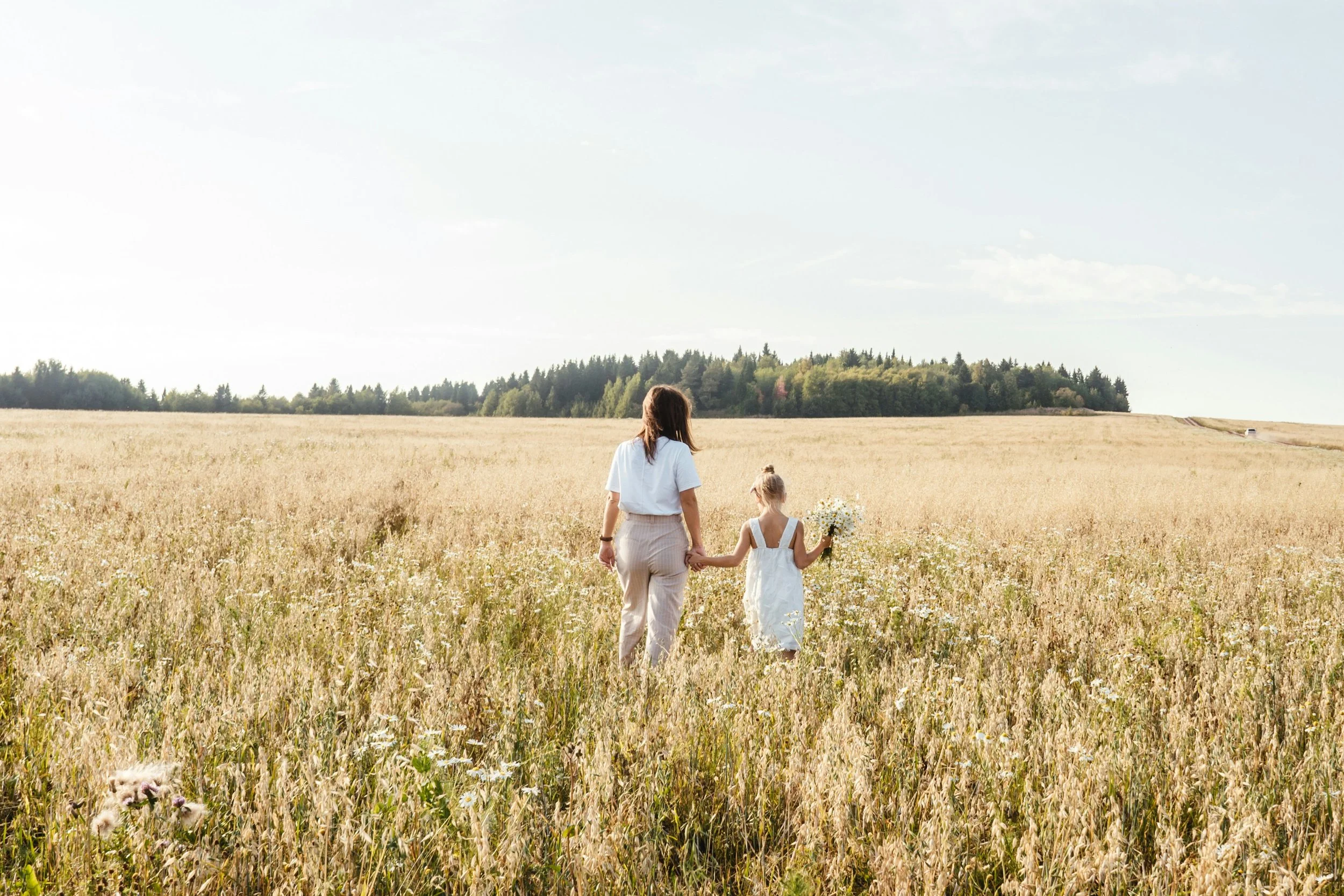 Adult and child walking hand in hand through a field, reflecting the steadiness that supports separation