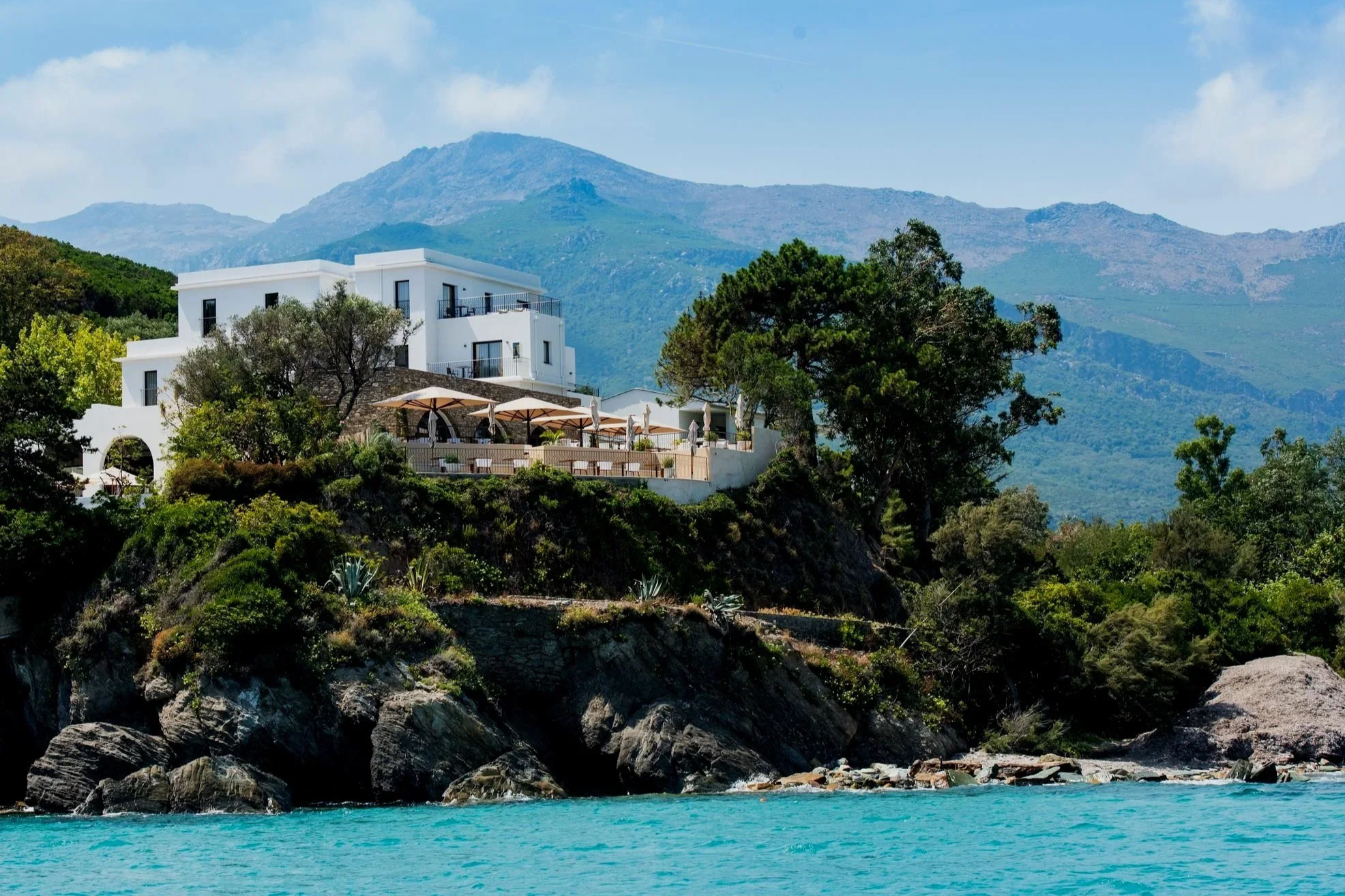Cows resting on a quiet Corsican beach with clear turquoise water