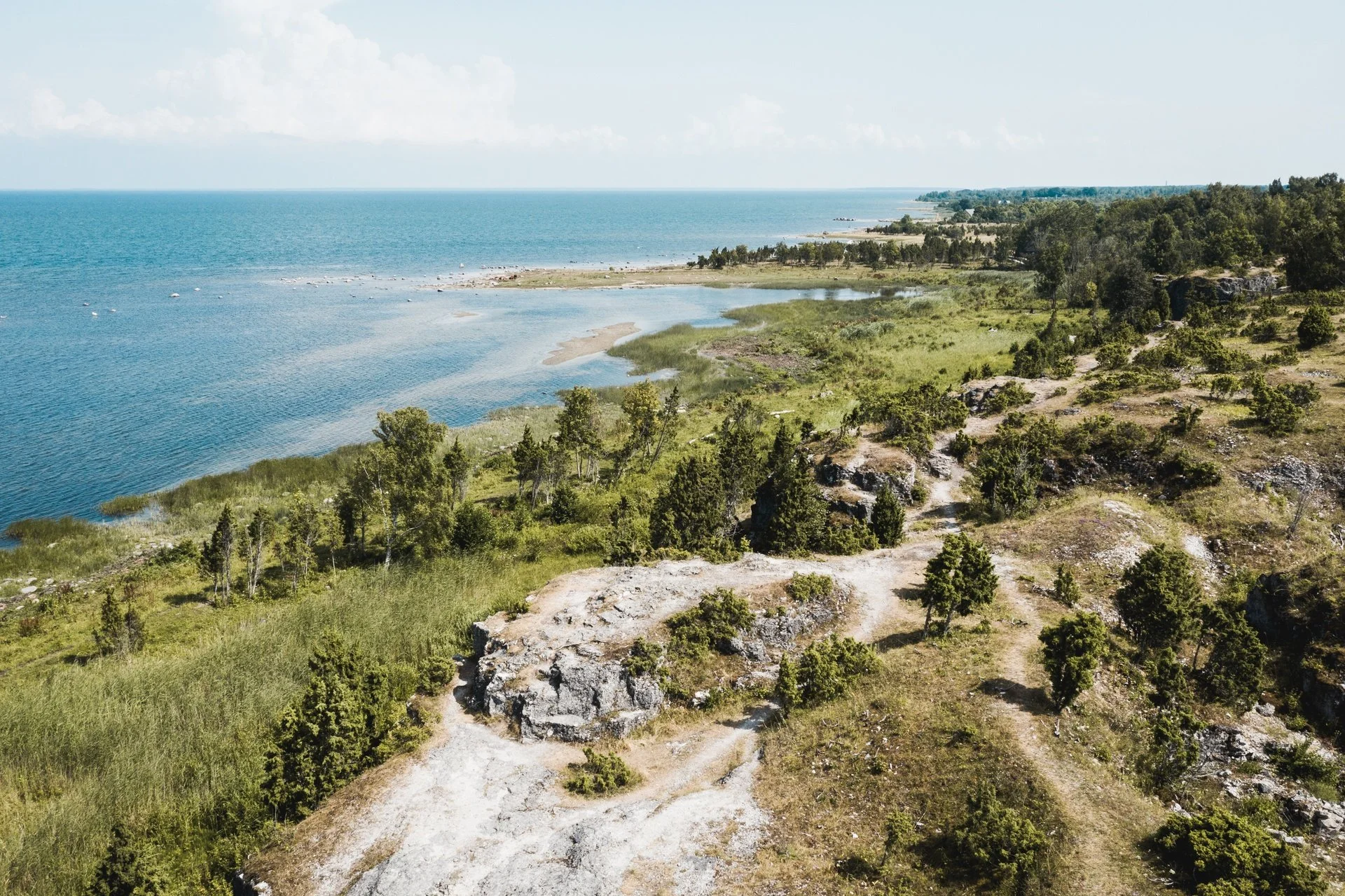 Wild Baltic coastline with forest, rocky outcrops and calm blue sea on Saaremaa island, Estonia