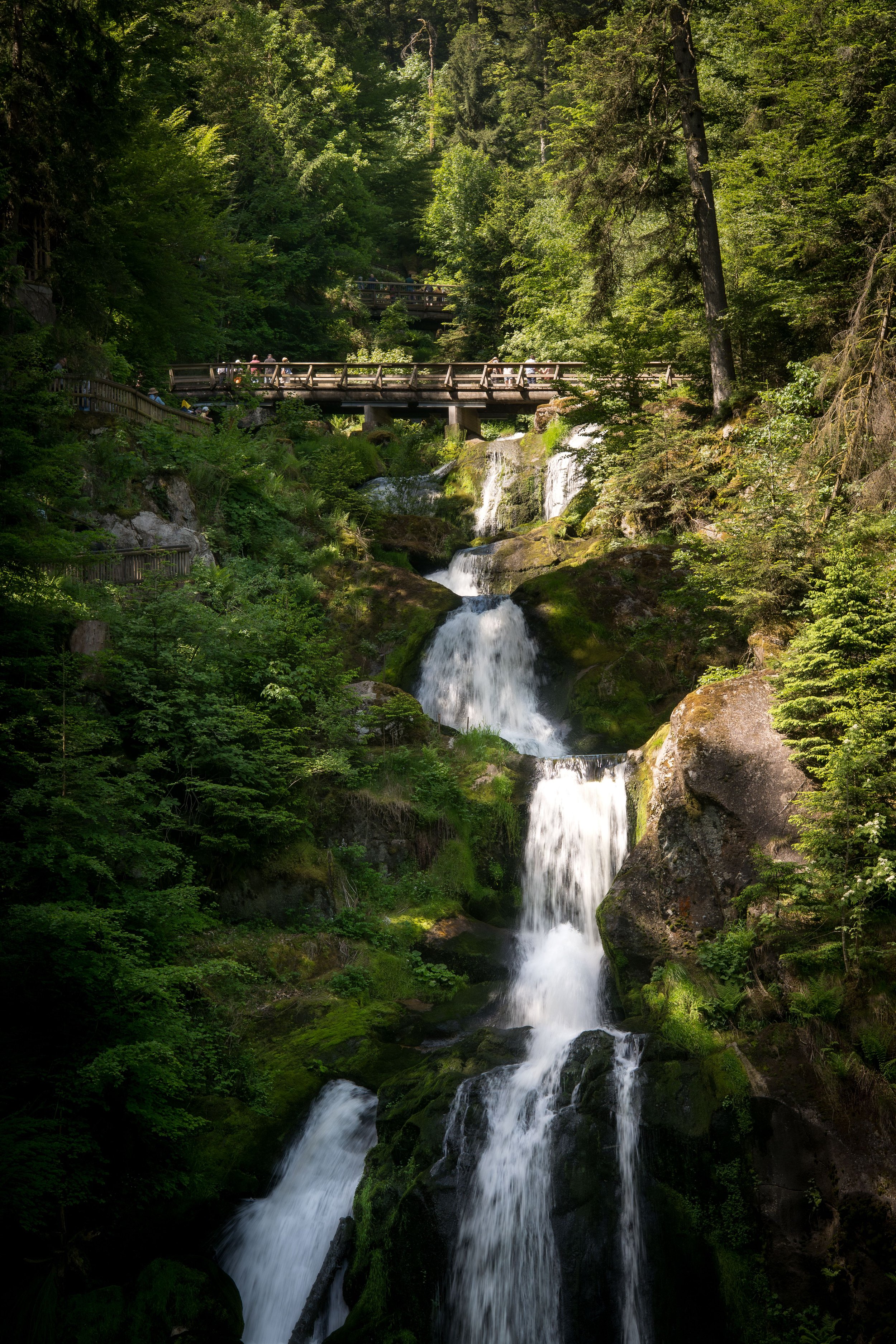 Cascading waterfalls surrounded by lush green woodland at Triberg in Germany's Black Forest.