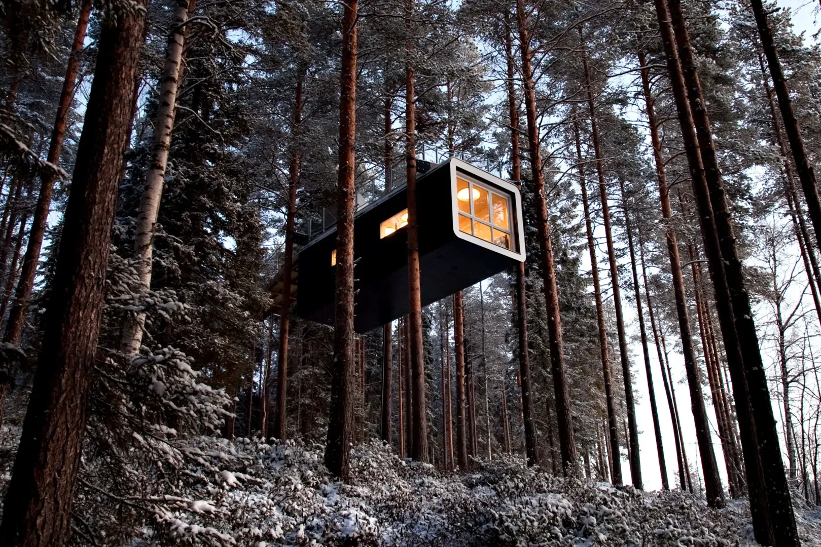 Treehotel cabin treehouse suspended in pine forest in Harads, Swedish Lapland