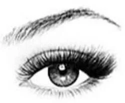 cat-eyelash-extension-style.jpg