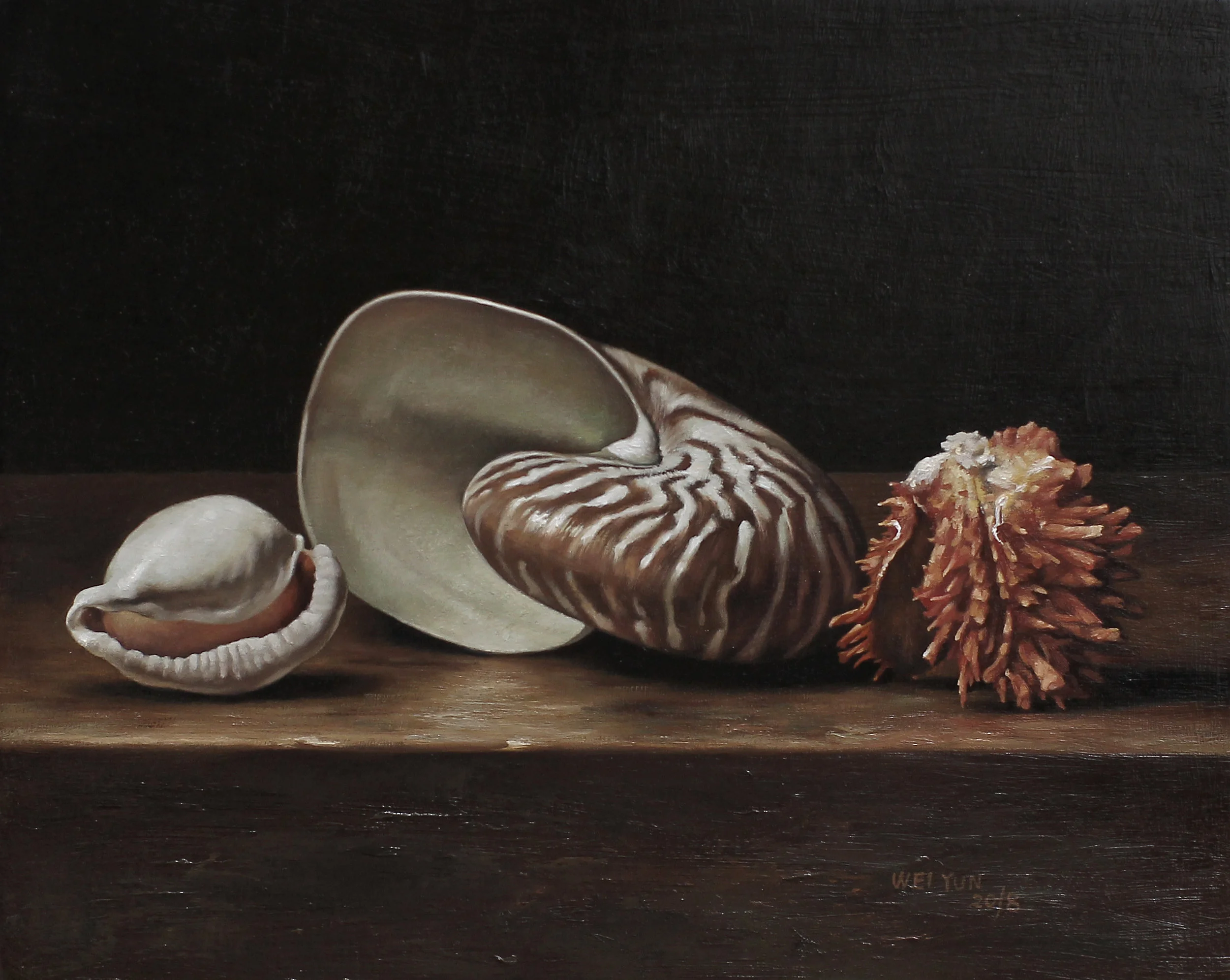 Wei Nautilus 8x10 950.jpg
