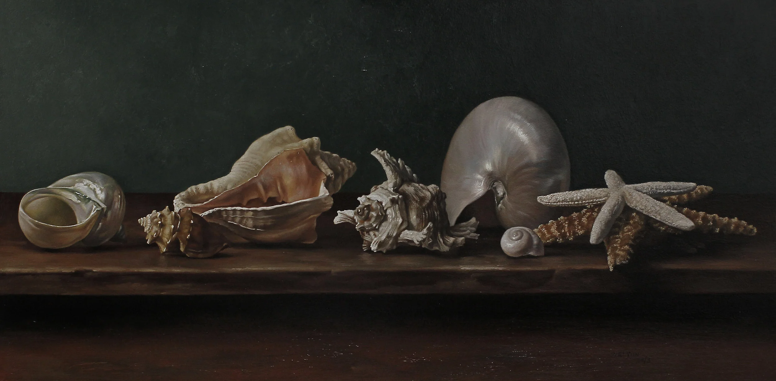 The Seashell Collection 12x24 2150-1.jpg