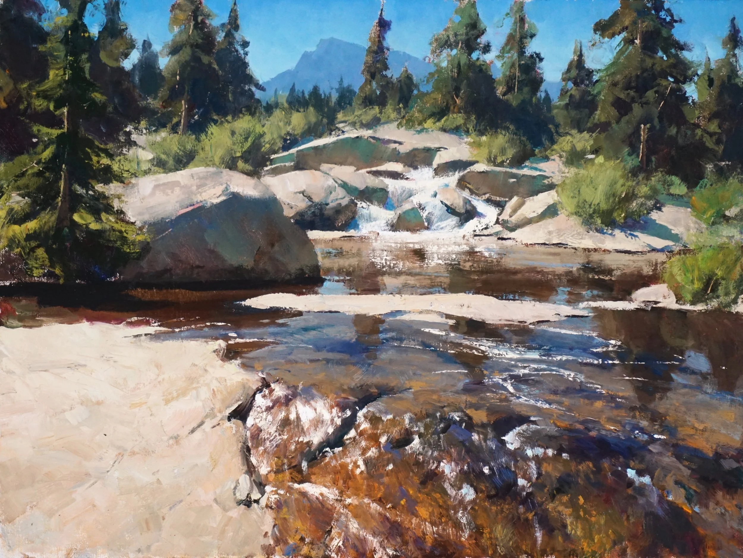 The Path it Chooses.jpeg