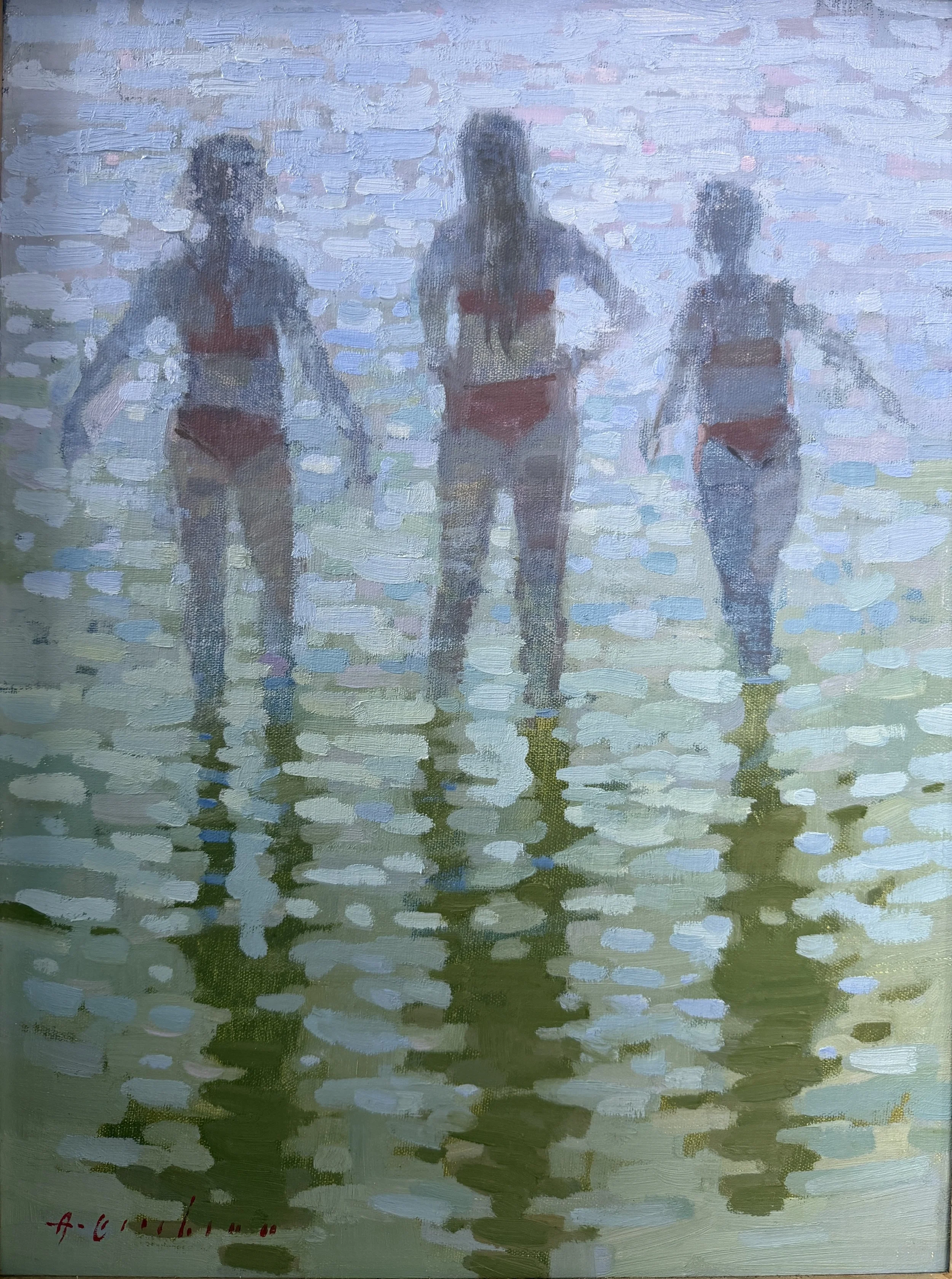 Transit of Venus Erickson.JPG