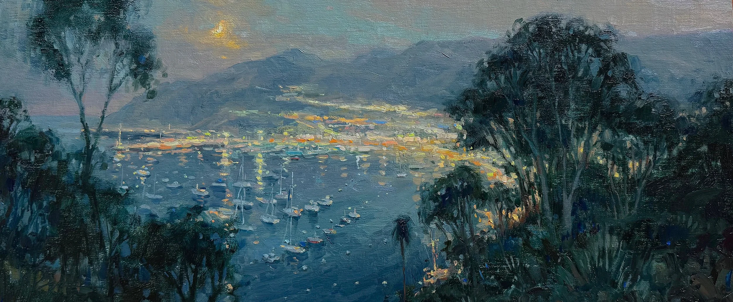 SBaker_Catalina Light and Shadow_10x24_oil on linen_2025_2700.JPEG