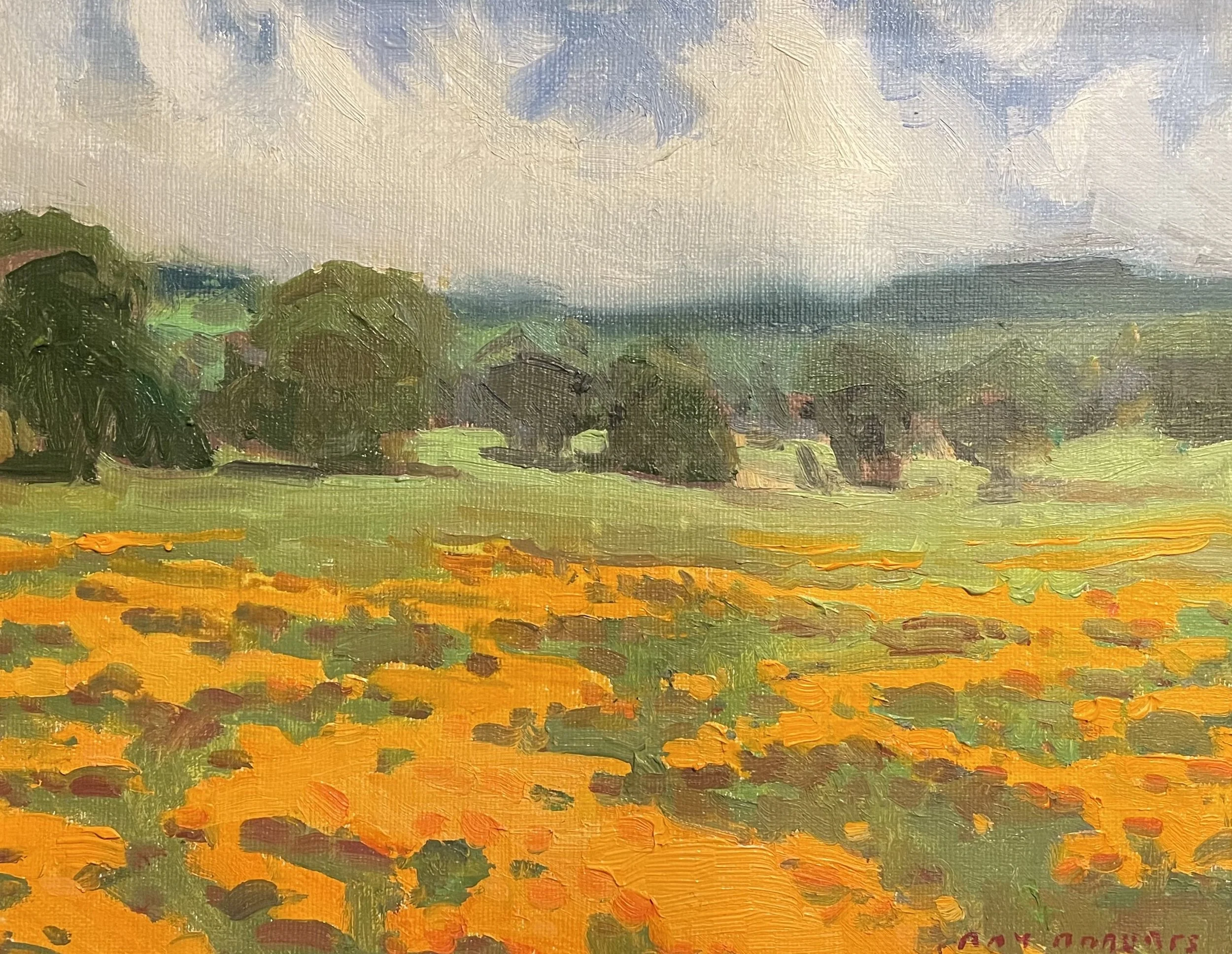 Ray Roberts Poppies Near Carmel Valley 8x10.jpg