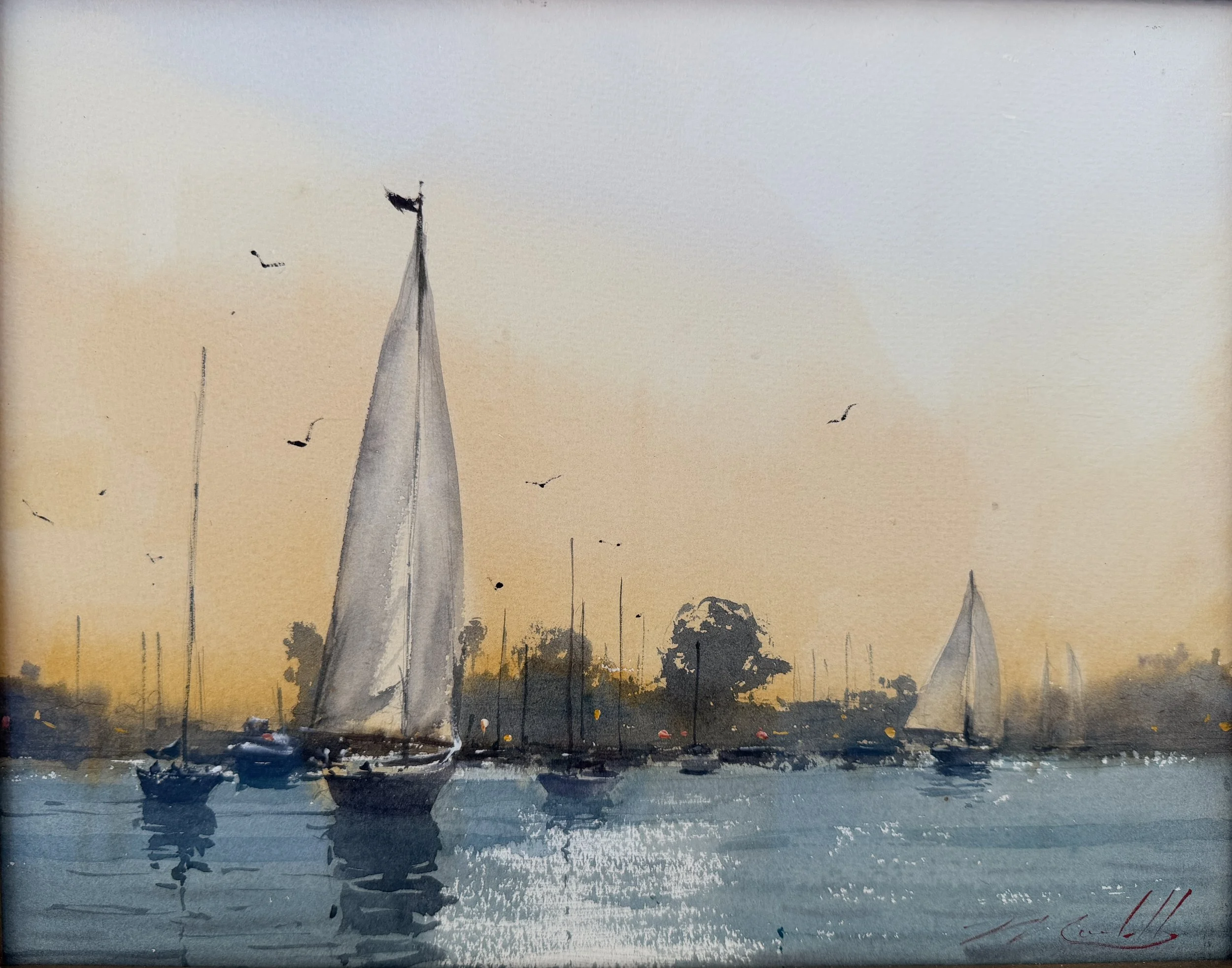 Evening Sails Marshall.JPG