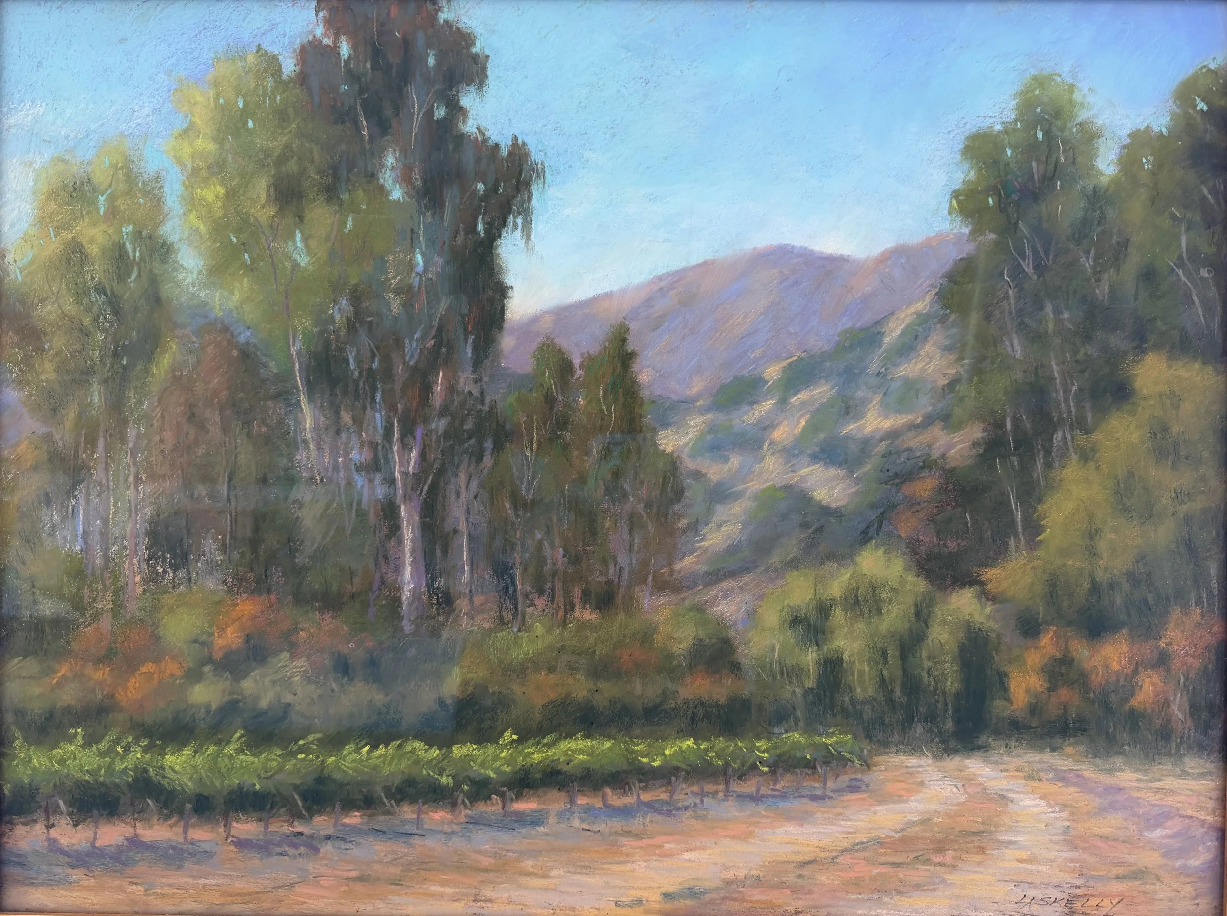 Vintage Vines Skelly.JPG