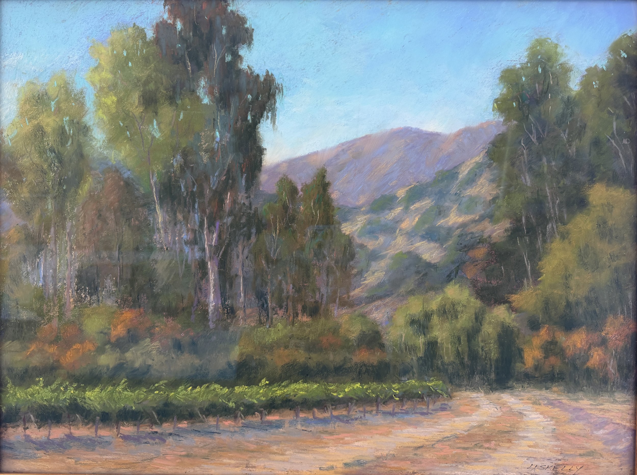 Vintage Vines Skelly.JPG