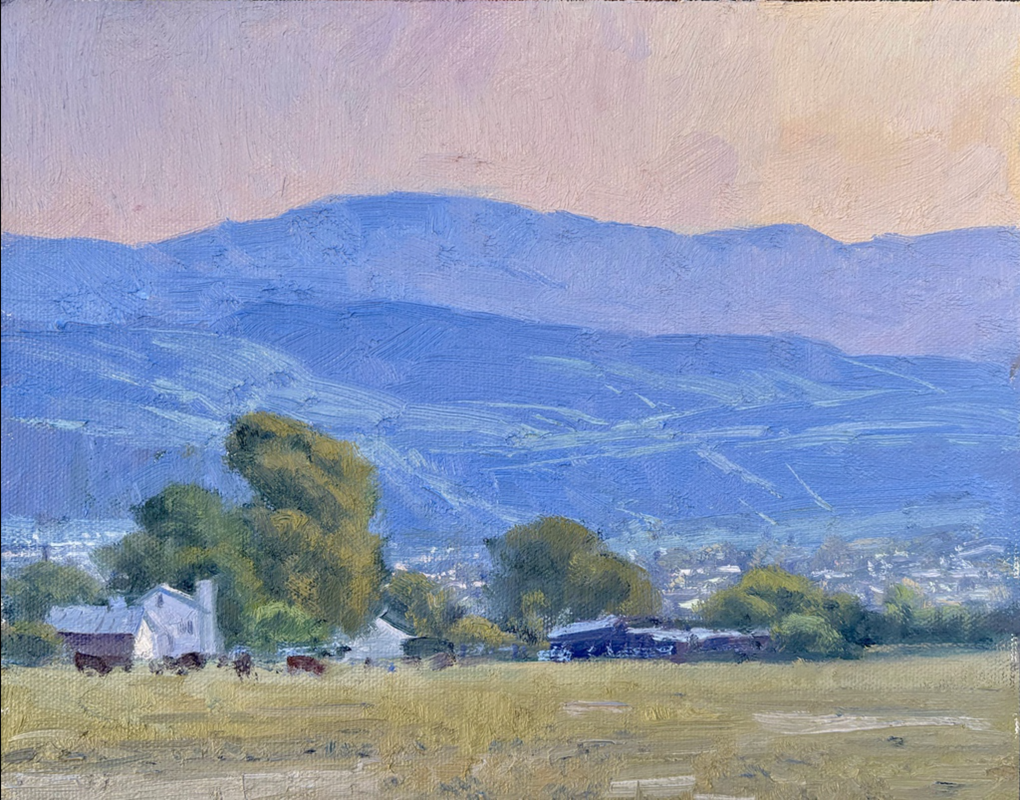 Evening Quiet 8x10 Budicin.png