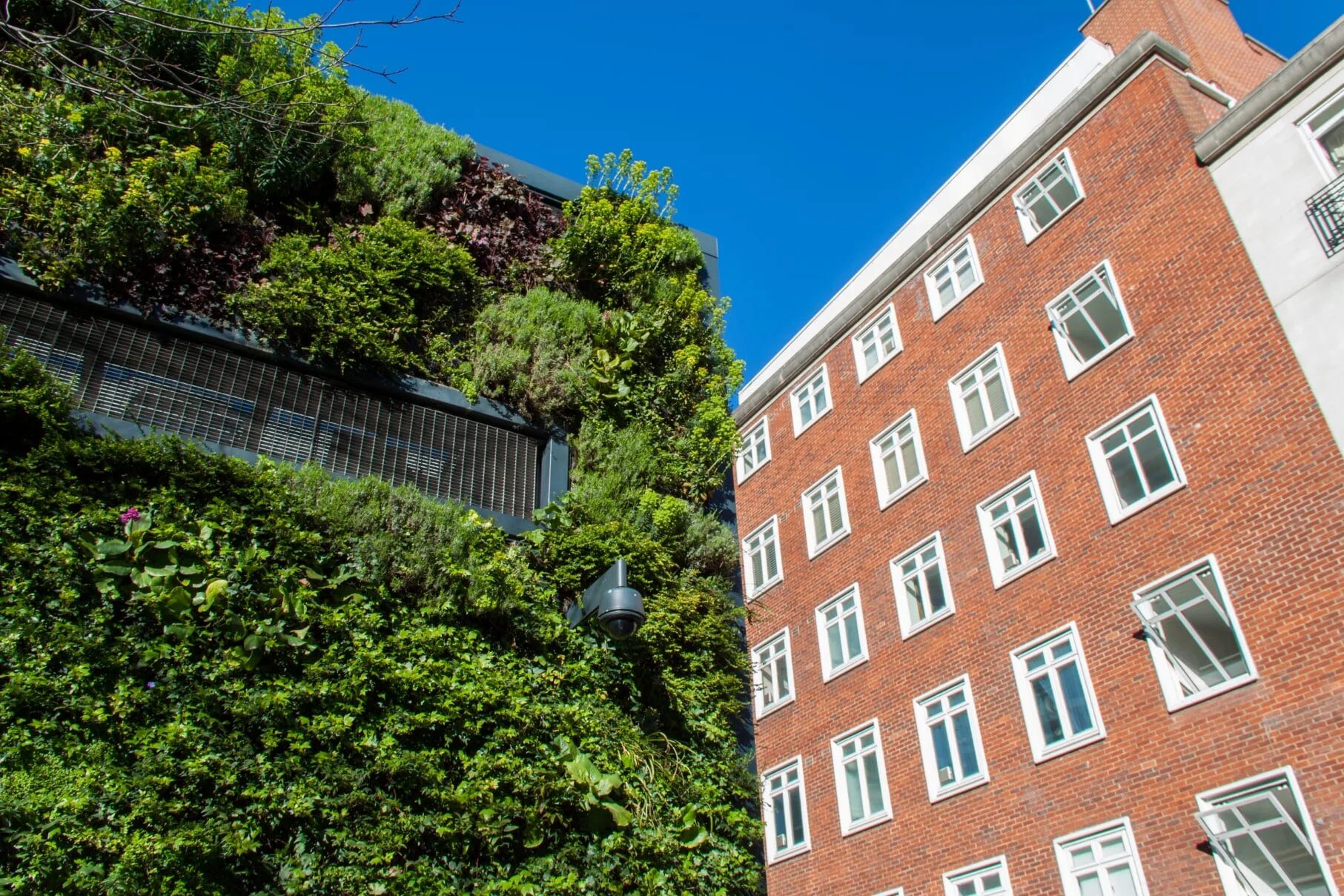 splash of green, london city