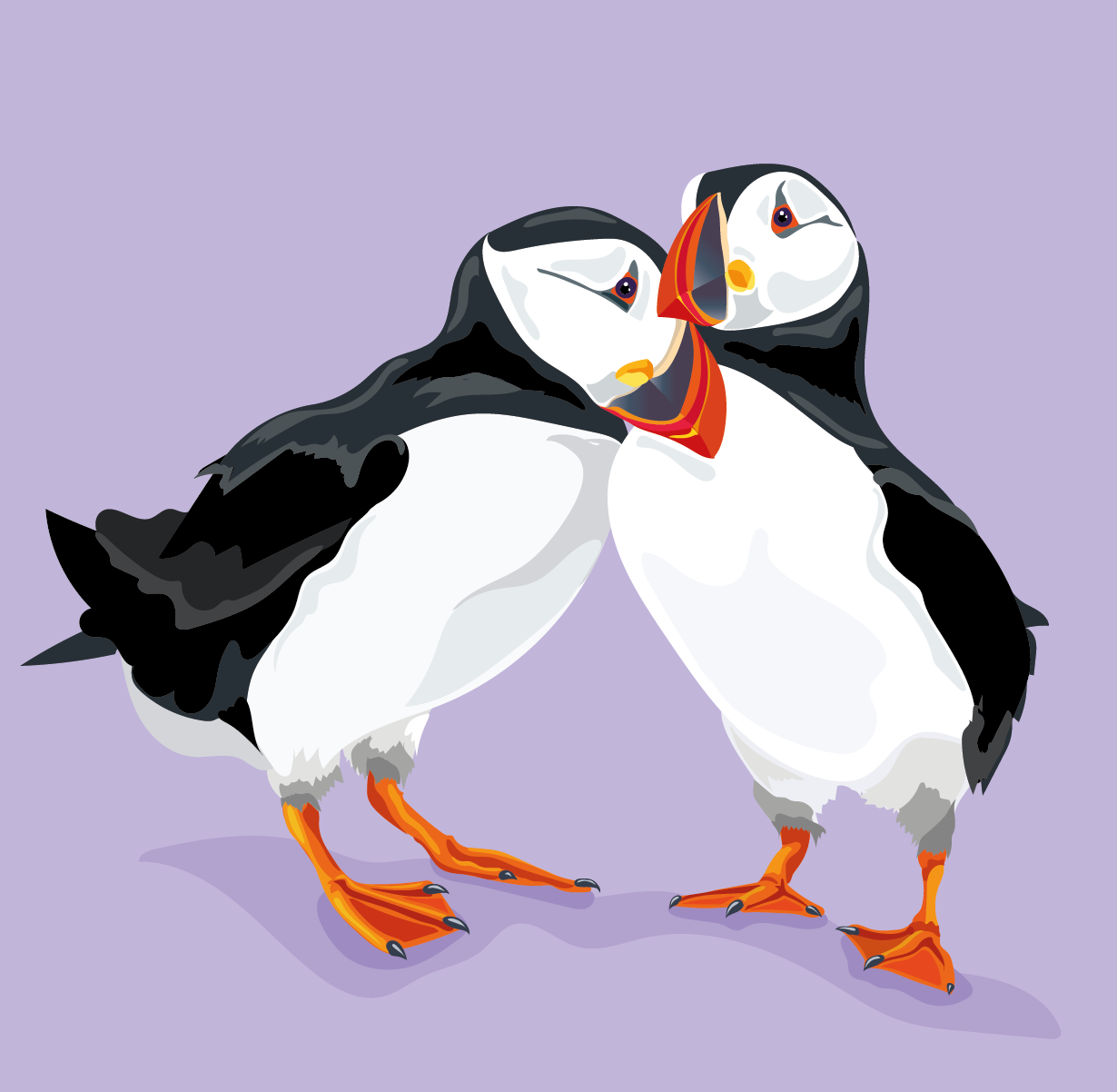 A rare practice in vector art. Obviously I chose puffins. And purple. Purchase in store