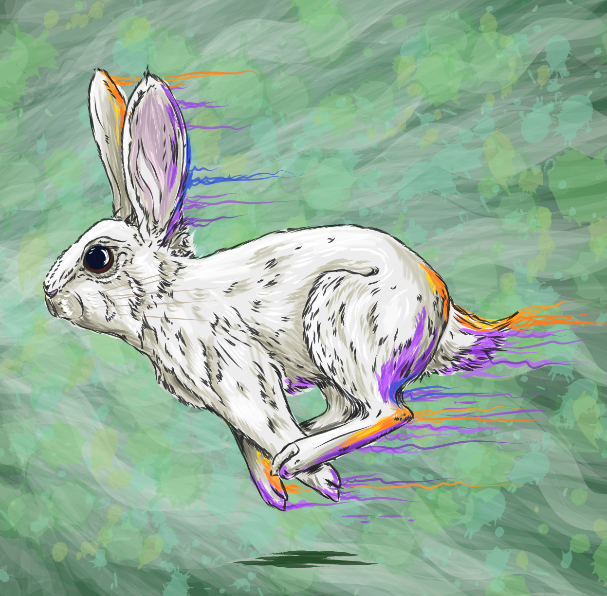 Rabbit.png
