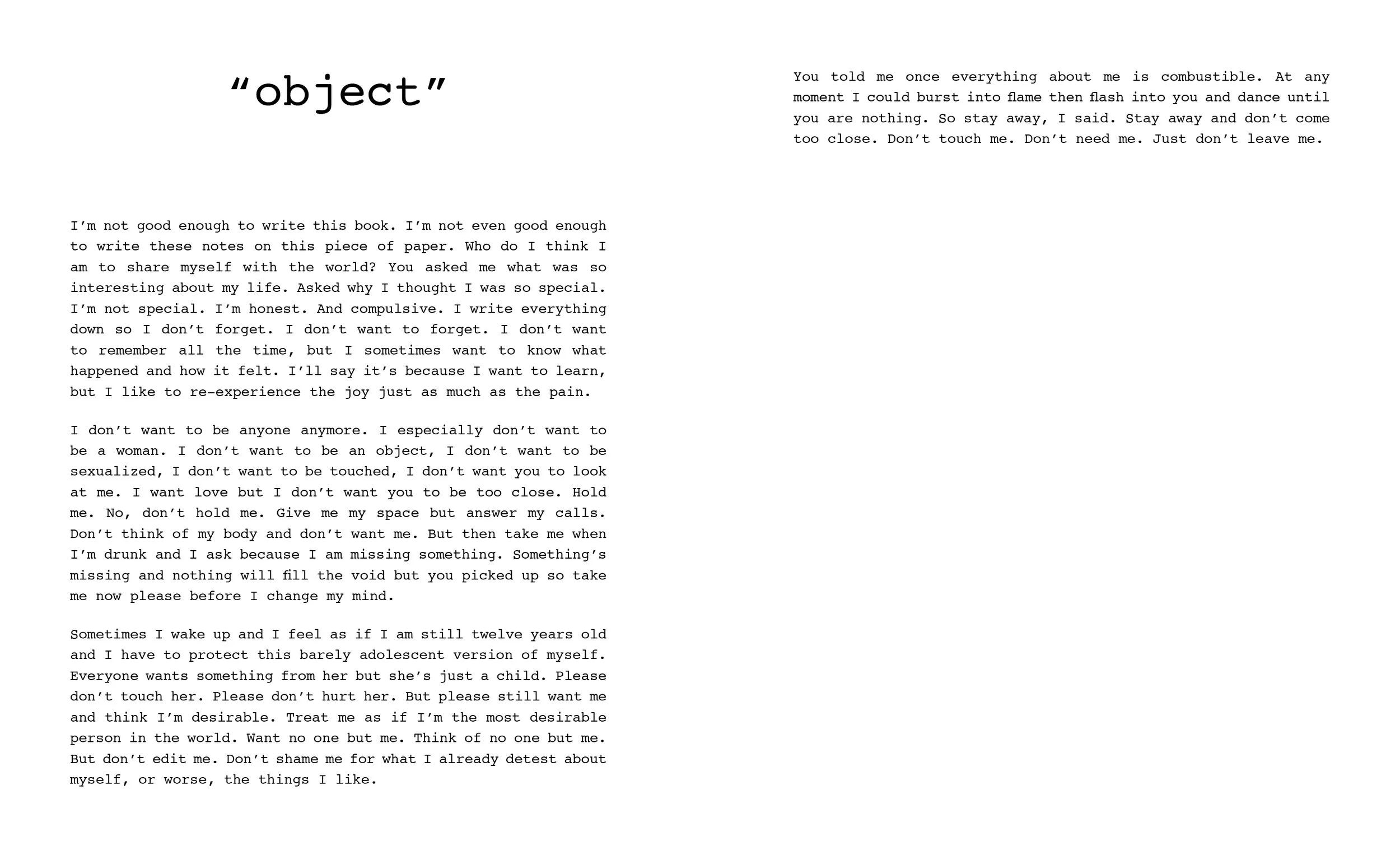 Book_Excerpt_Set_Me_On_Fire_Before_I_Blow_Book_Excerpt5.jpg