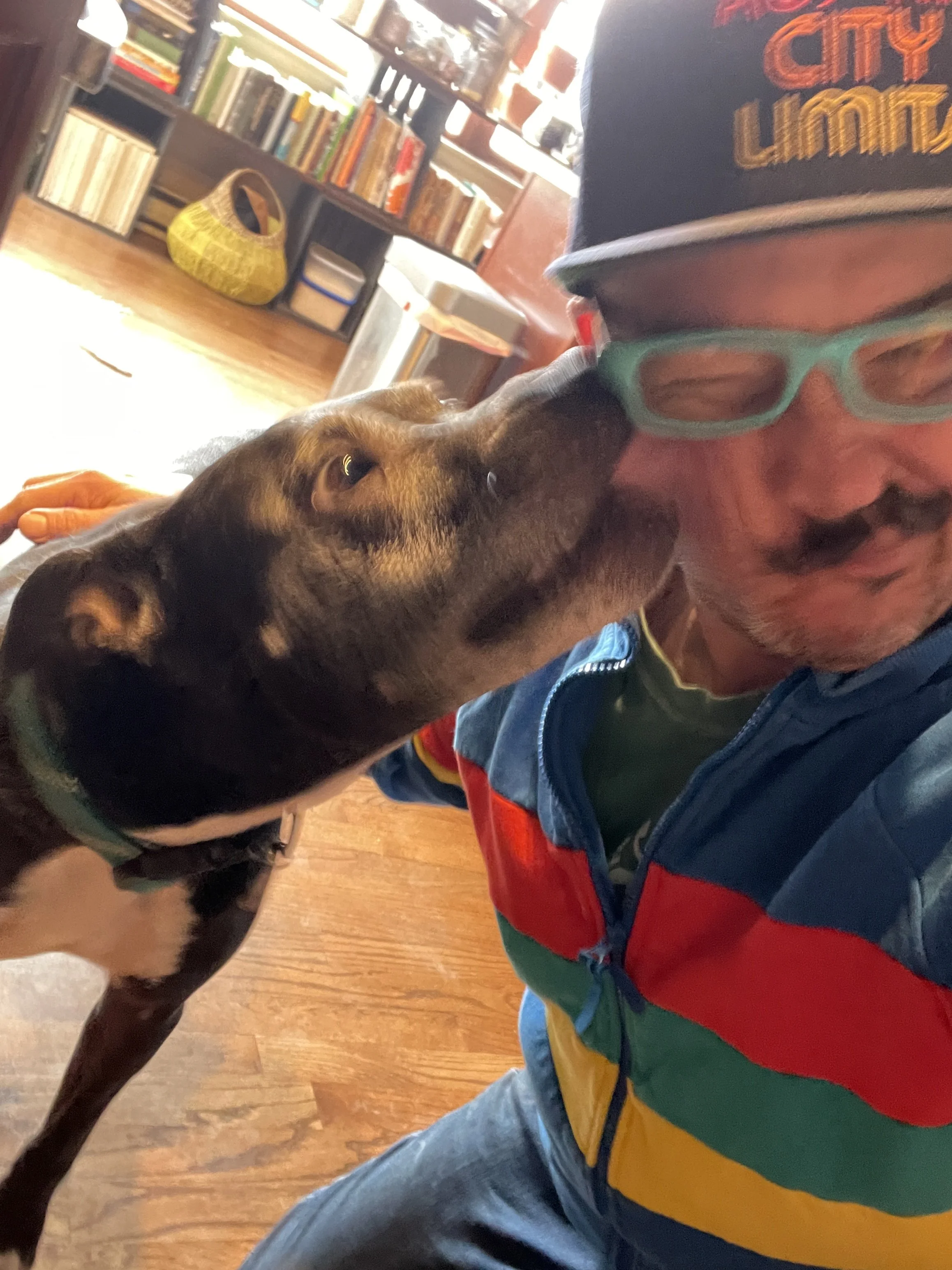 A dog licking a man's face indoors, with bookshelves and a basket in the background.