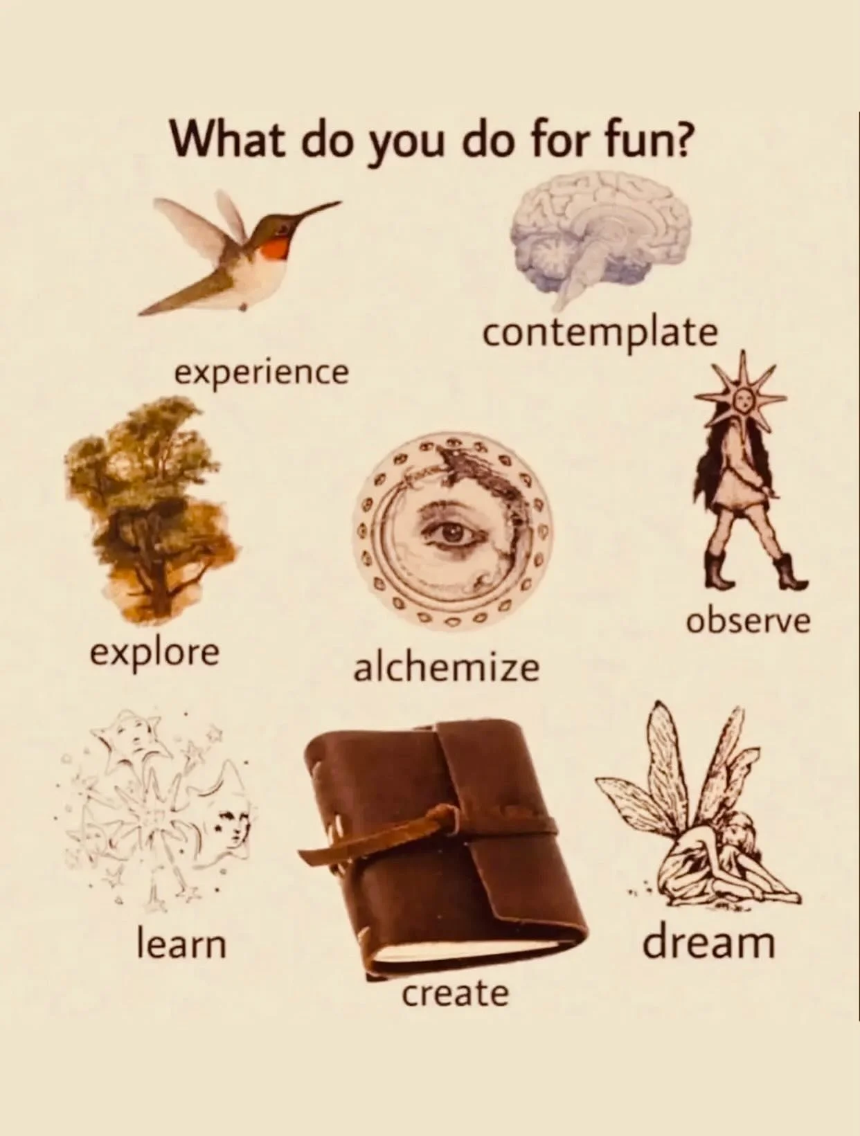 💛💛💛✨ #createmore #imadreamer #dreammore #experienceisourgreatestteacher #heartfirst #heartfirstjourney #heartfirstseries