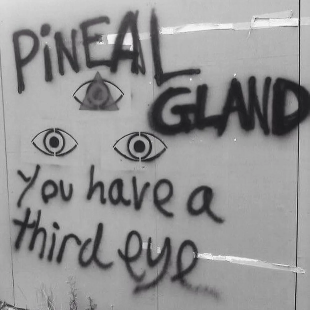 Just sayin&rsquo; 🤣🤣🤣 &hellip; &amp; the stuff of Book 3. #thirdeye #spiritmolecule #trippy #pinealgland #heartfirst