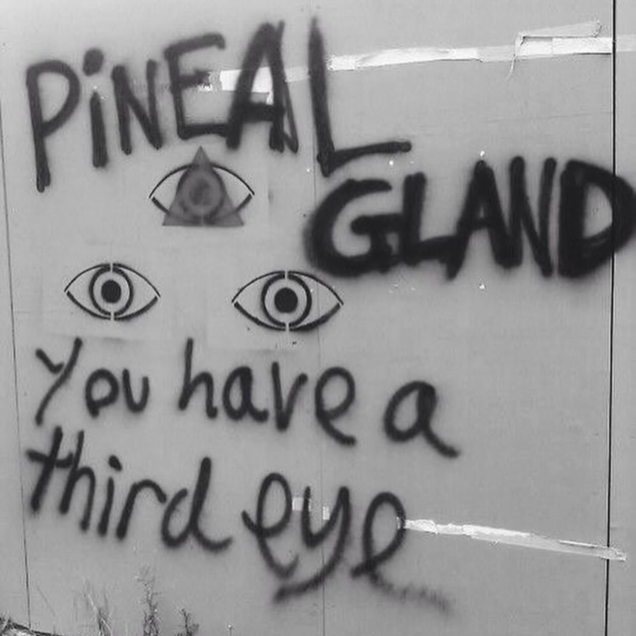 Just sayin&rsquo; 🤣🤣🤣 &hellip; &amp; the stuff of Book 3. #thirdeye #spiritmolecule #trippy #pinealgland #heartfirst