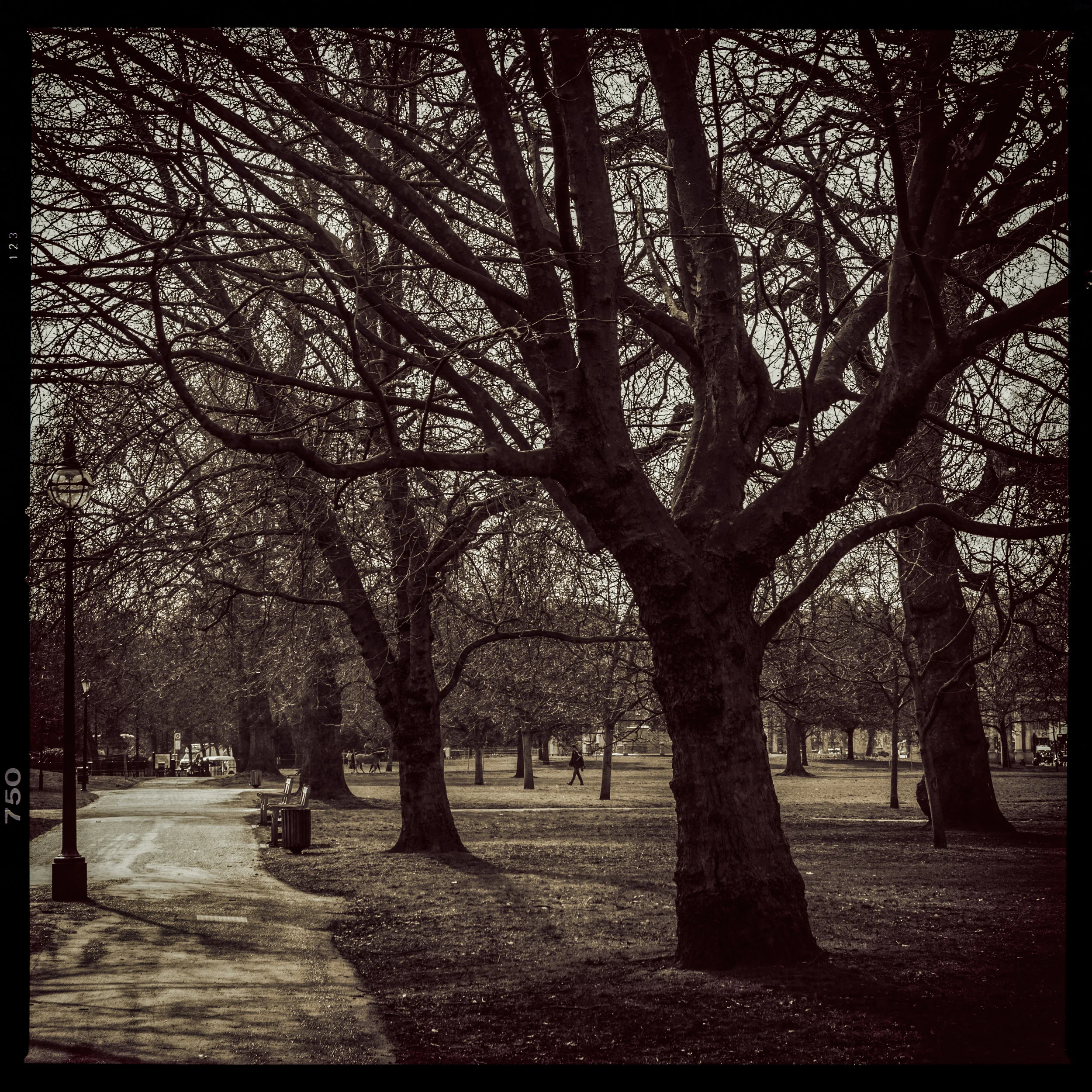 IMG_8172-Edit-Edit.jpg