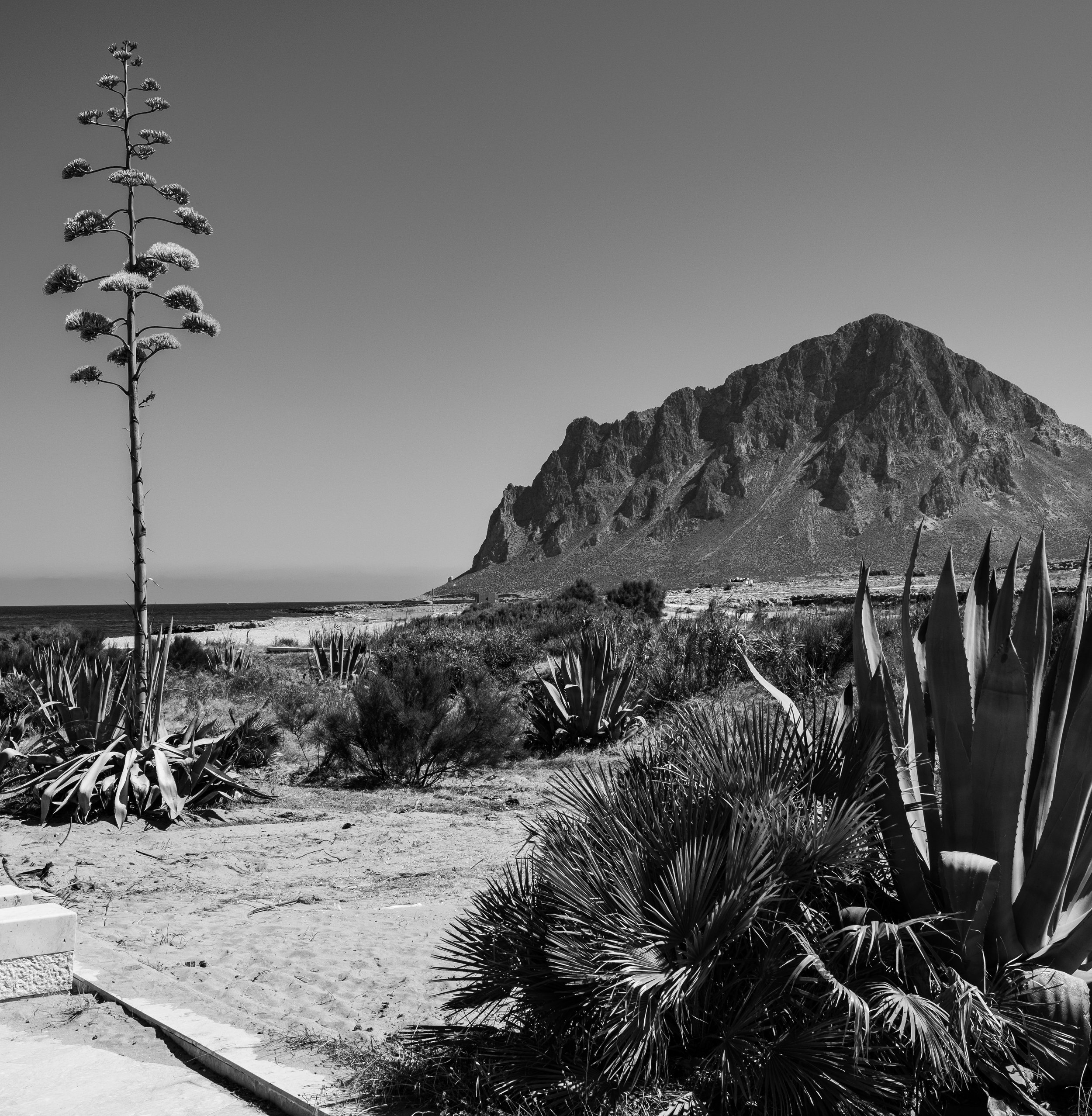 DSCF0642-2.jpg
