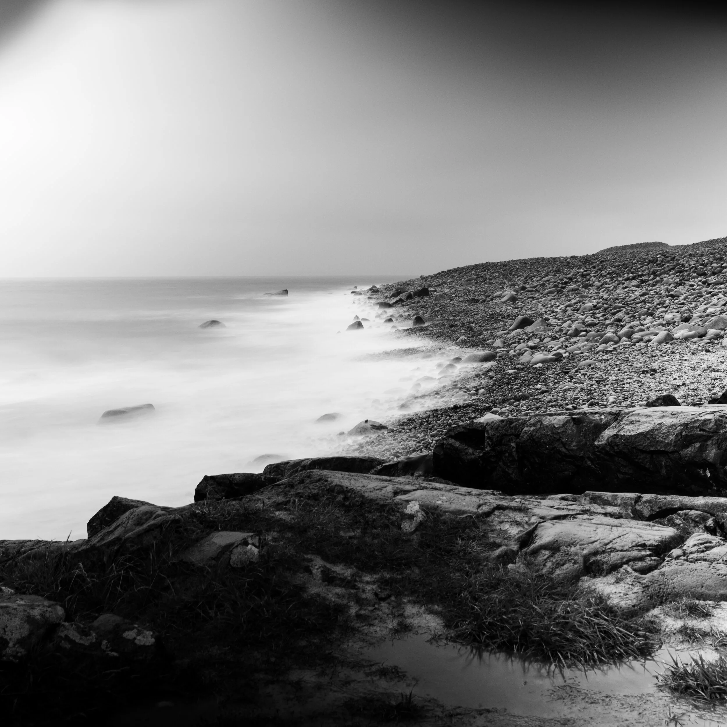 _DSF3229.jpg