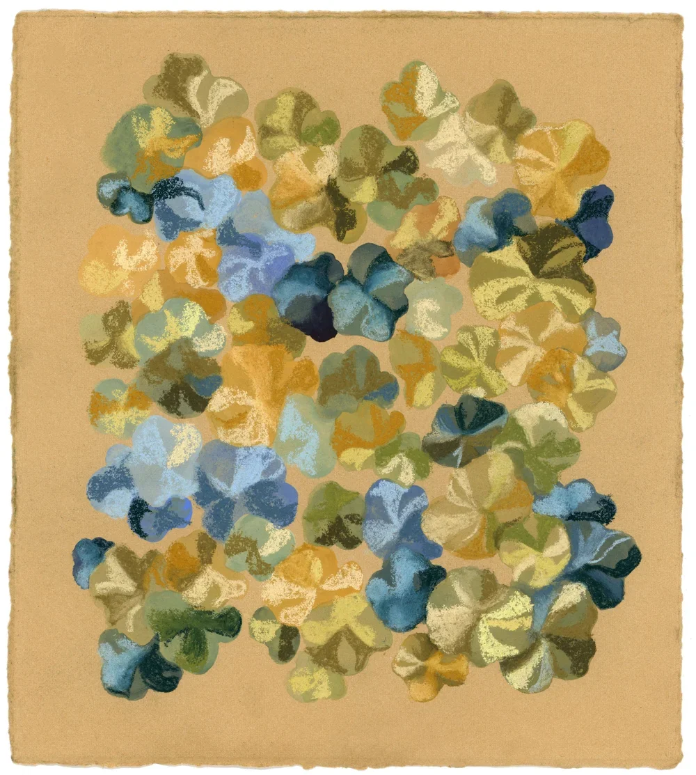 Nasturtium_2026+copy.webp