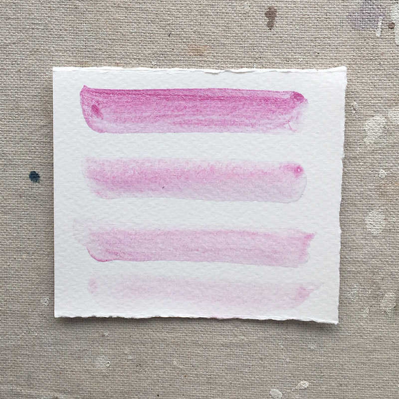 STUDIO PINK sq.jpg