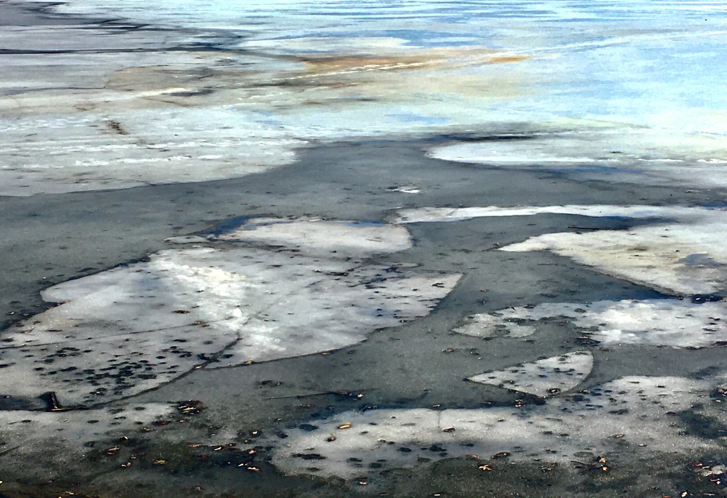 612909A6-577F-4C6A-ADCF-3CEE6B6C7122