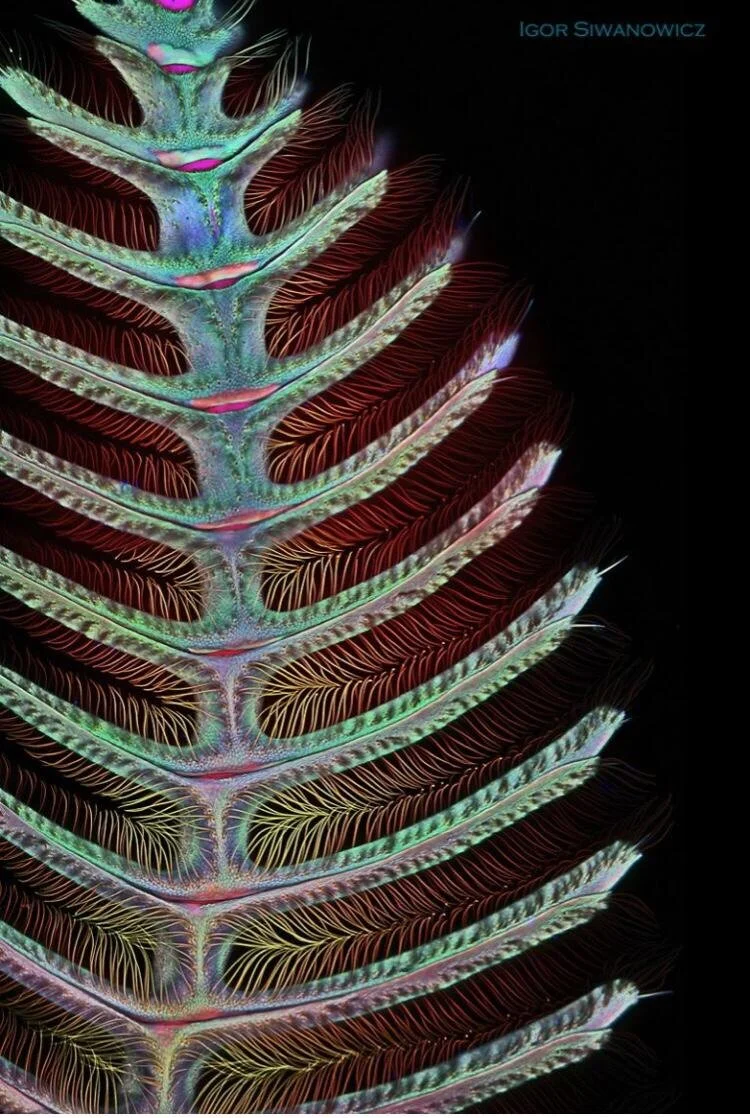 E92B4D86-759D-44C6-B44E-5E78D8200E5E