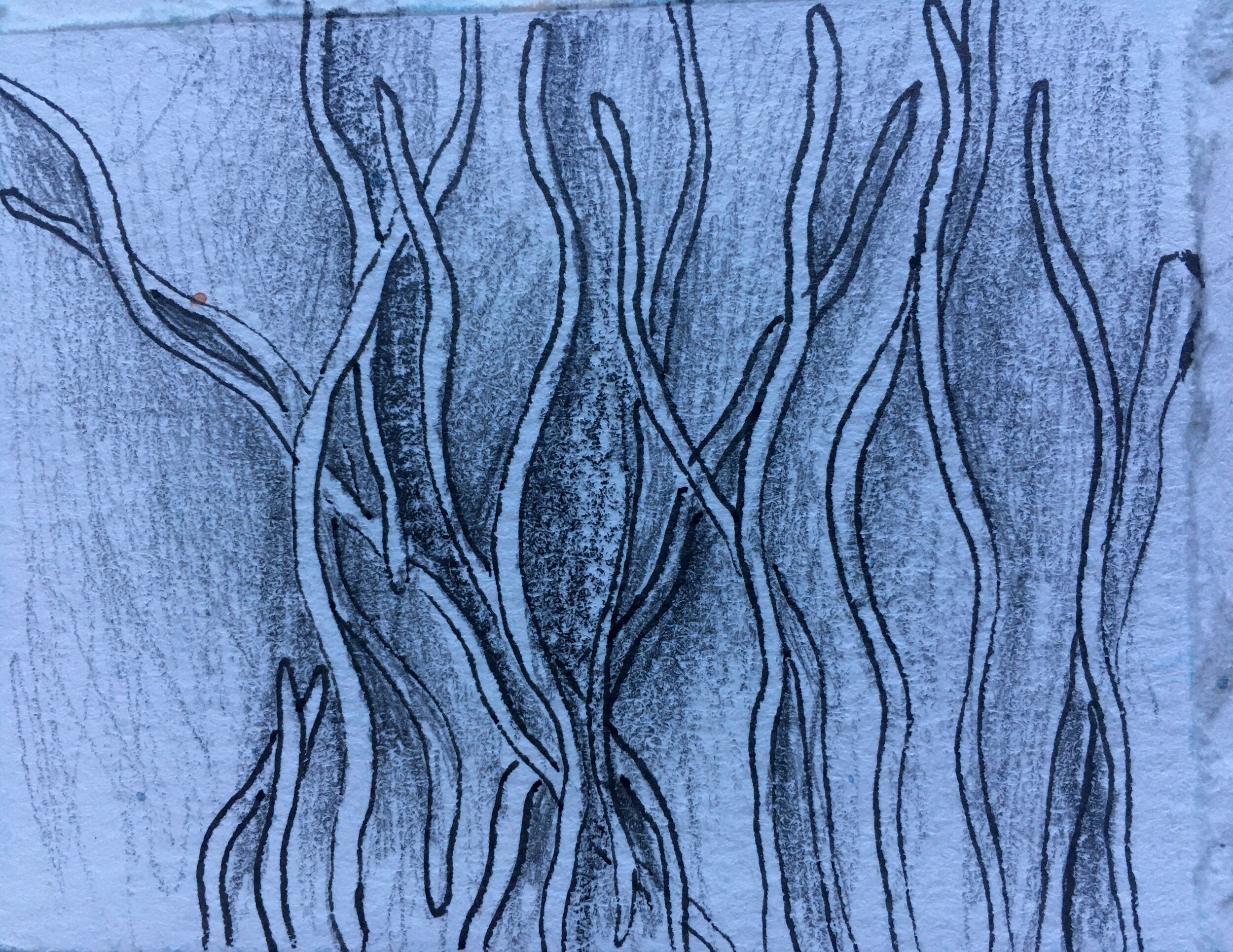 2AC59010-966D-4681-B6D7-F5569E2B15A6