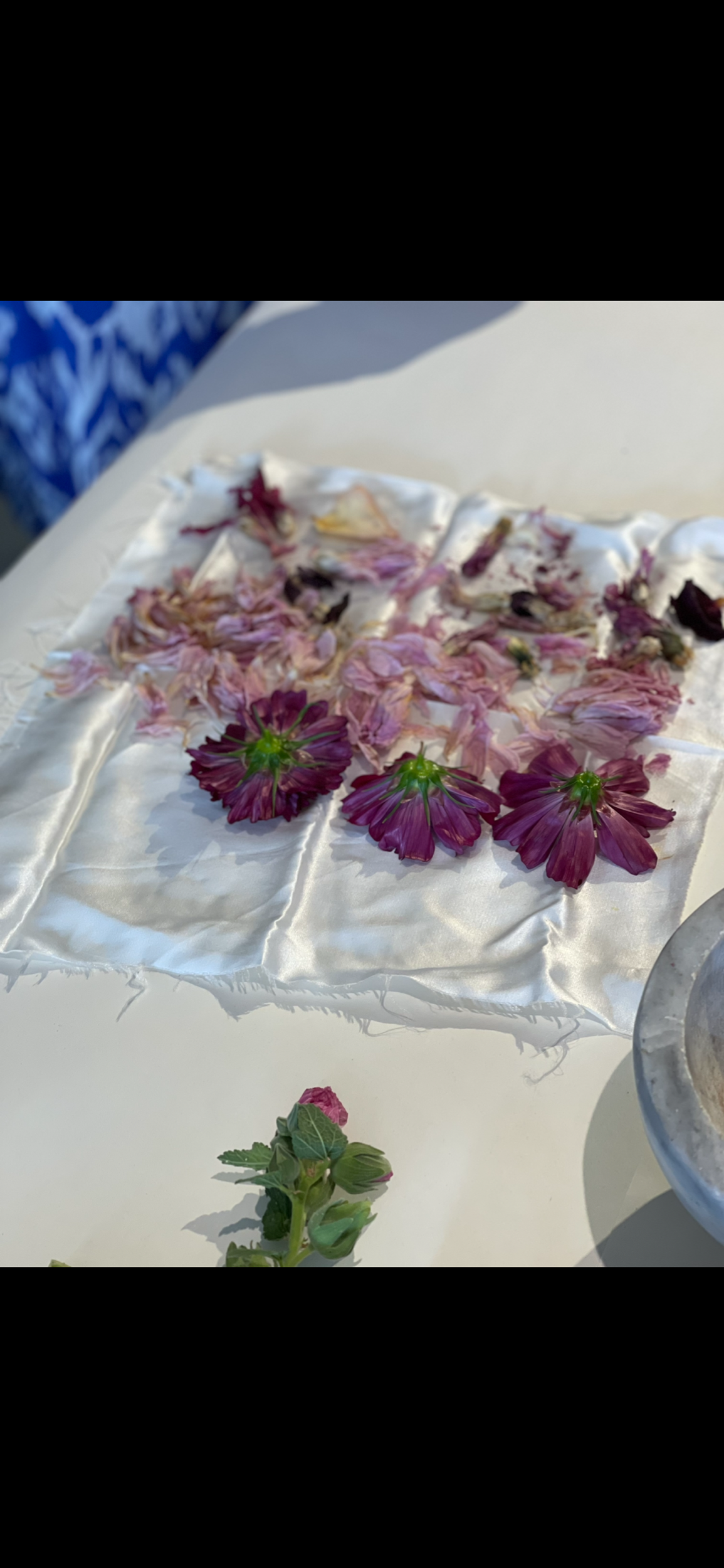 BD676BBA-A52D-4946-A3D1-C8606195713B