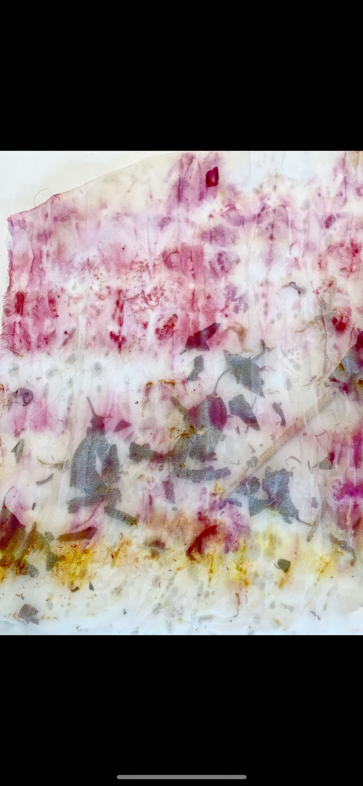 09CCE921-2CF6-468C-9BF8-5442EFB80D0E