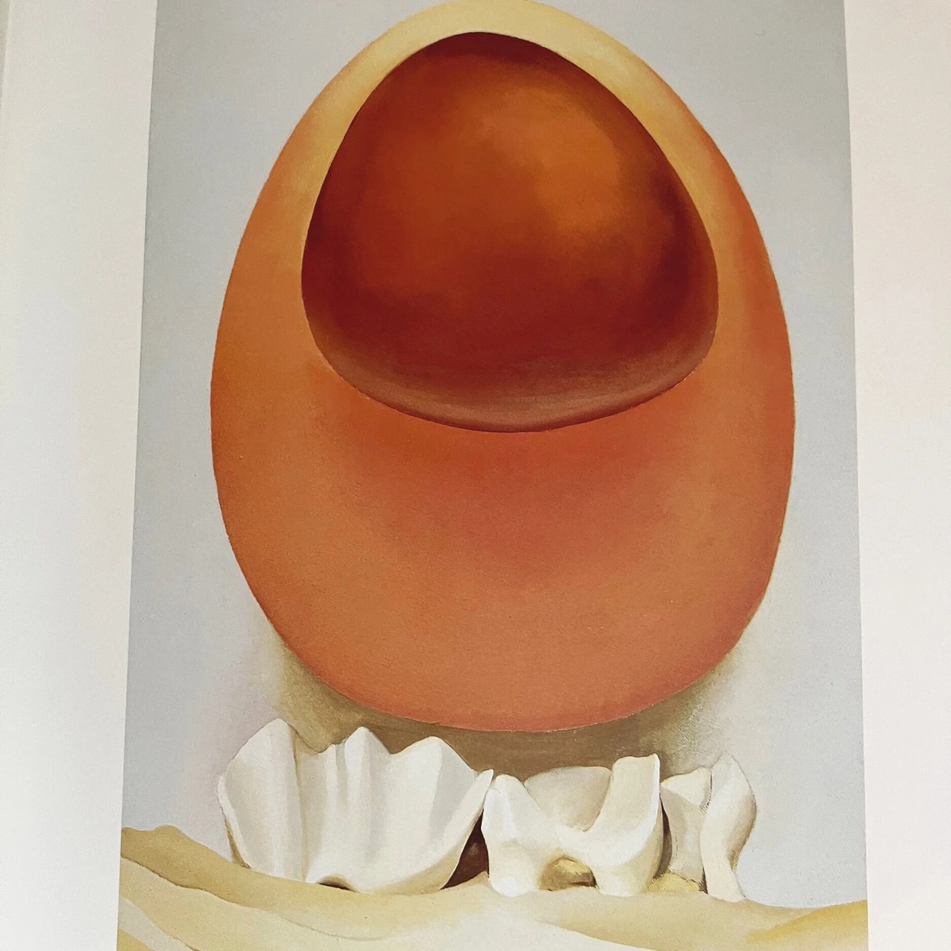 38A56EAE-2604-4D85-8C05-DAAF0DDC7E42