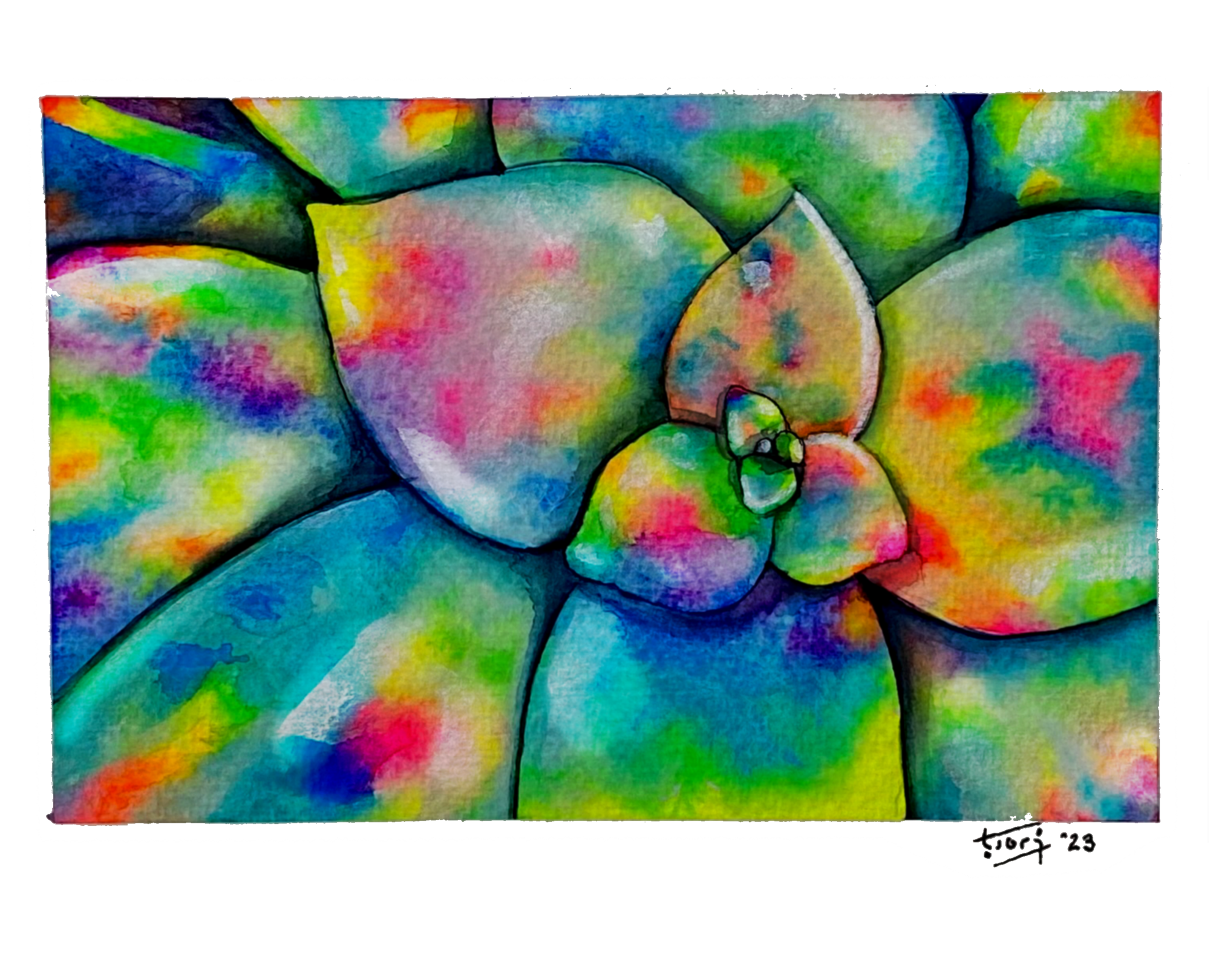 tori fluorescent new 6.PNG