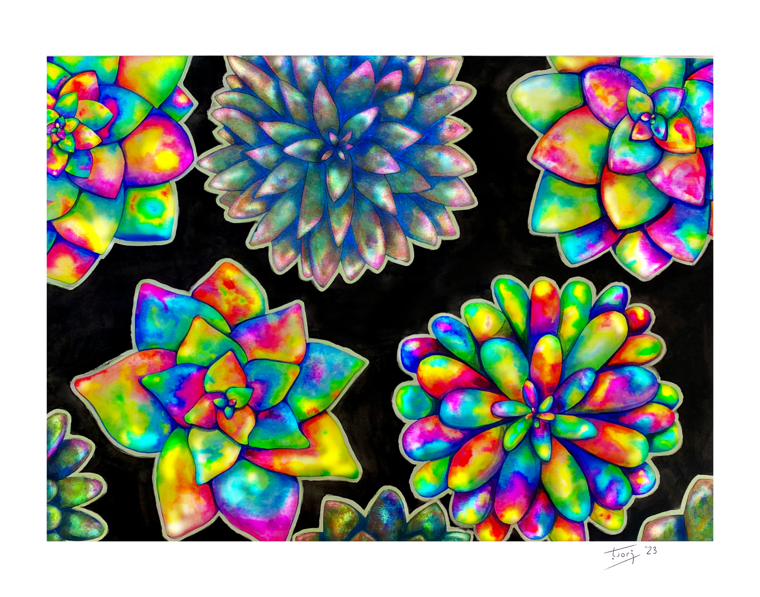 tori fluorescent new 4.PNG