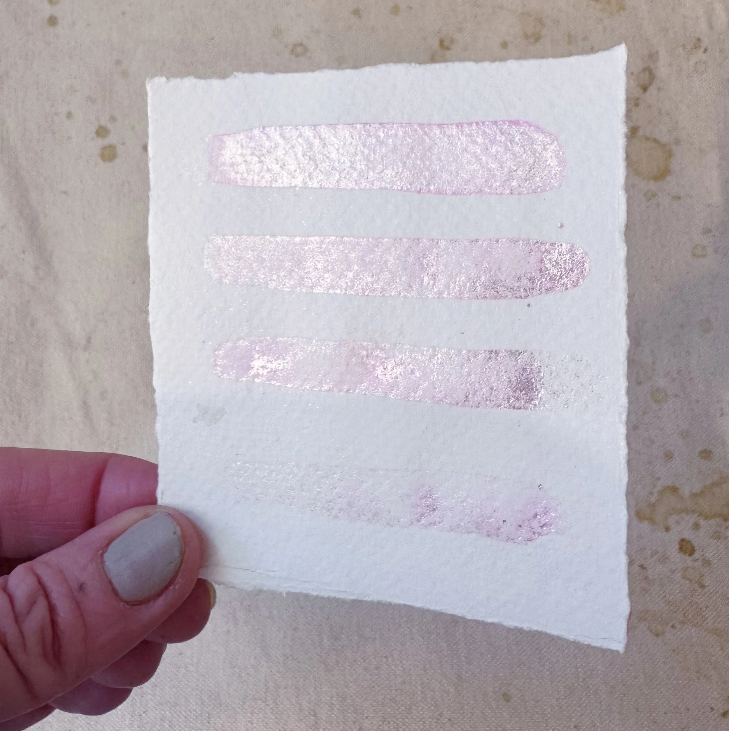 What's new in our shop?