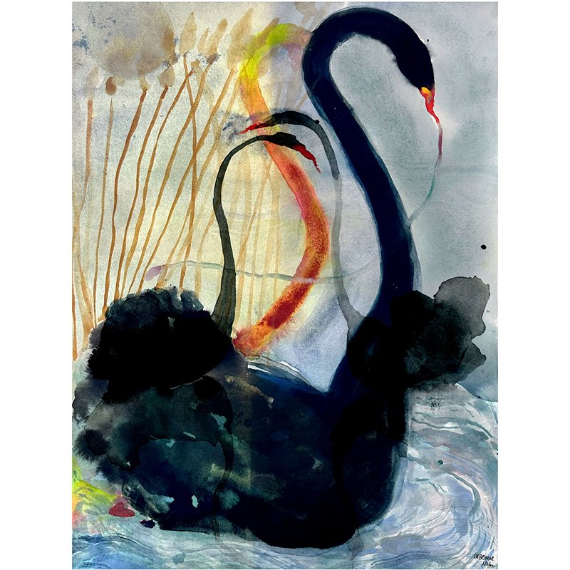big-swan.jpg