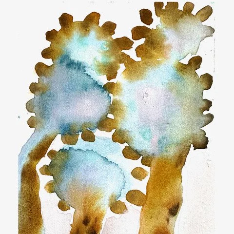 Deb march 1 daisies copy.jpeg