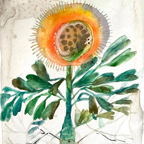 Deb march 1 sunfklower.jpeg